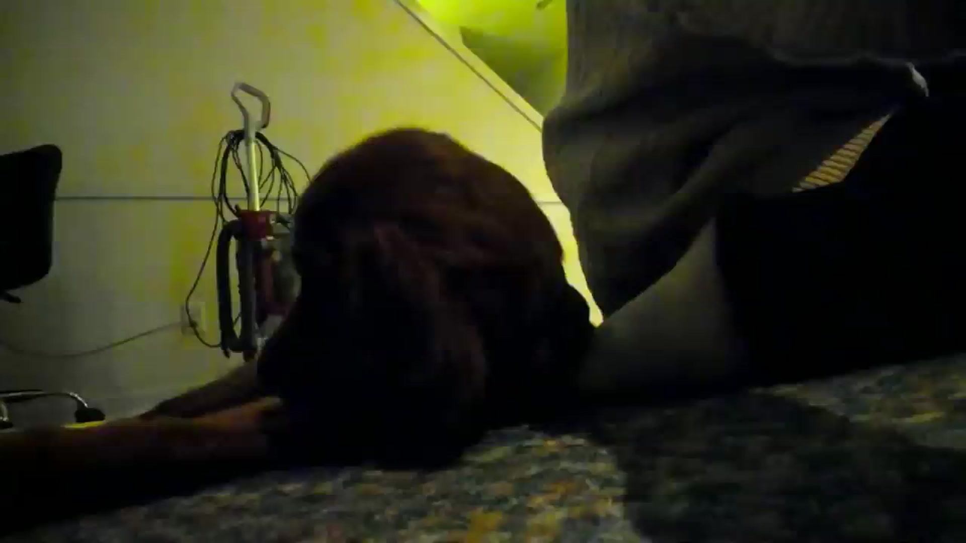 Gallery image thumbnail from adrey_'s myfreecams stream on, 12/11/2023, 04:05 image 10 of 20