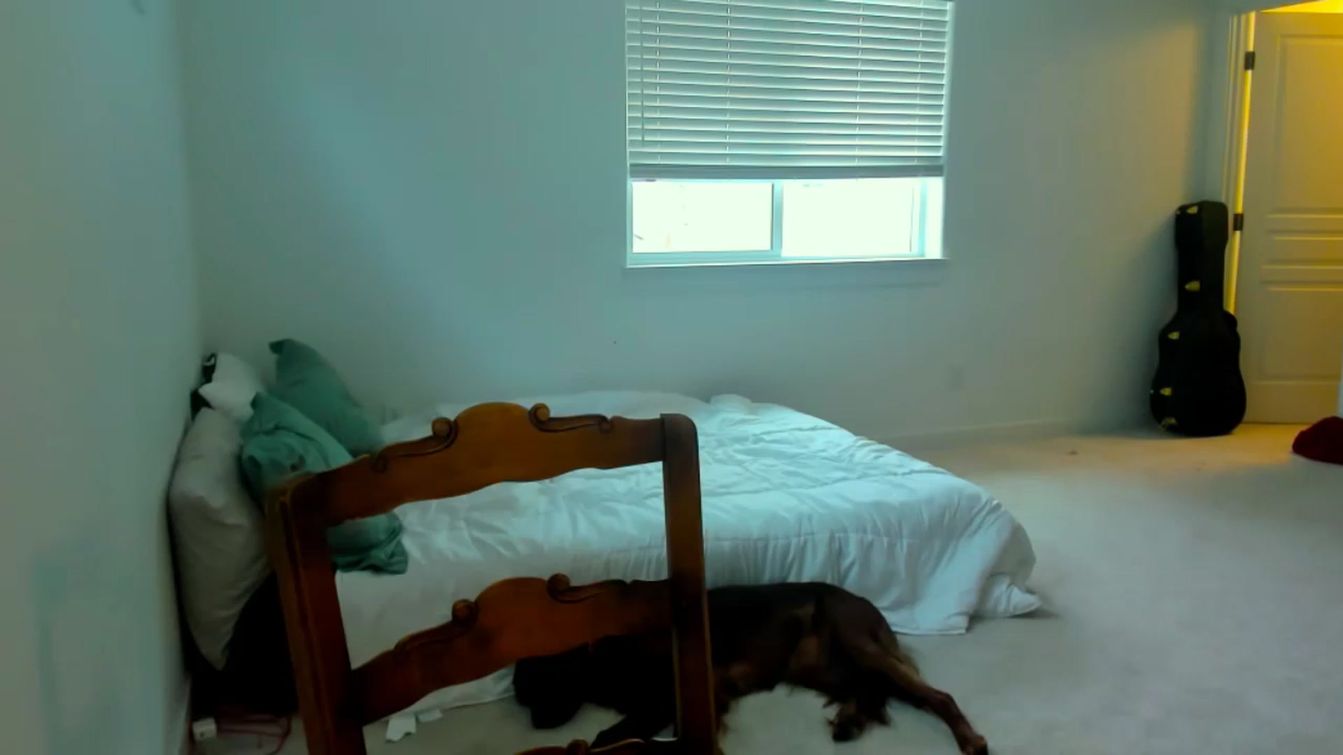 Gallery image thumbnail from adrey_'s myfreecams stream on, 12/12/2024, 20:39 image 15 of 20