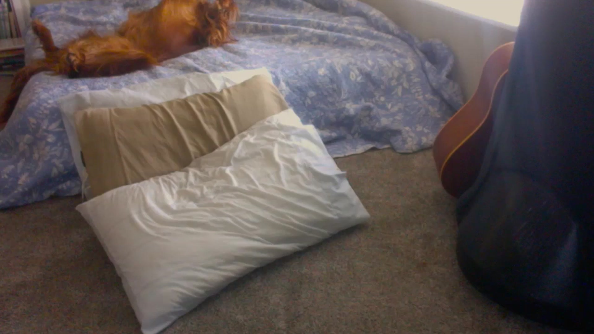 Gallery image thumbnail from adrey_'s myfreecams stream on, 03/05/2026, 22:53 image 7 of 20