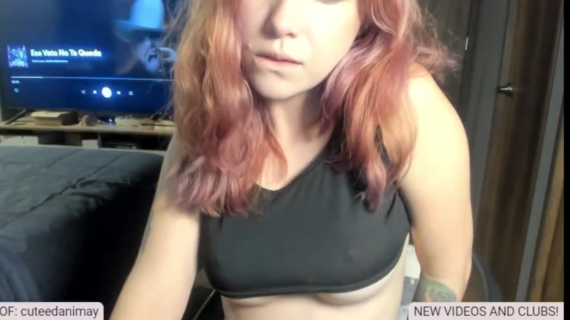 Gallery image thumbnail from aka_dani's myfreecams stream on, 01/09/2025, 01:30 image 10 of 20