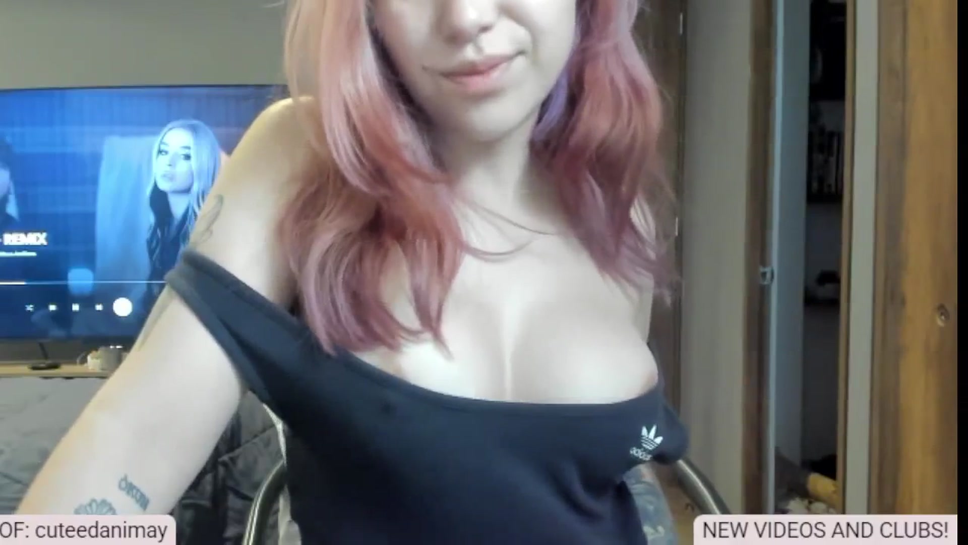 Gallery image thumbnail from aka_dani's myfreecams stream on, 01/19/2025, 13:46 image 13 of 20