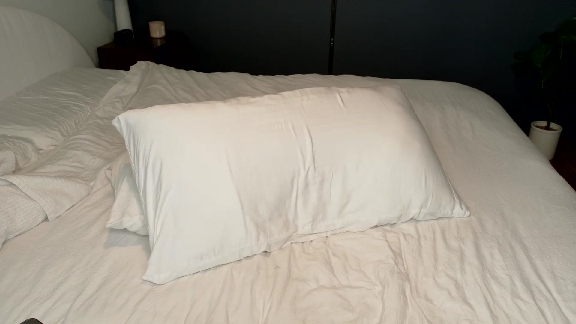 Gallery image thumbnail from alexzamora's myfreecams stream on, 03/05/2026, 06:00 image 18 of 20