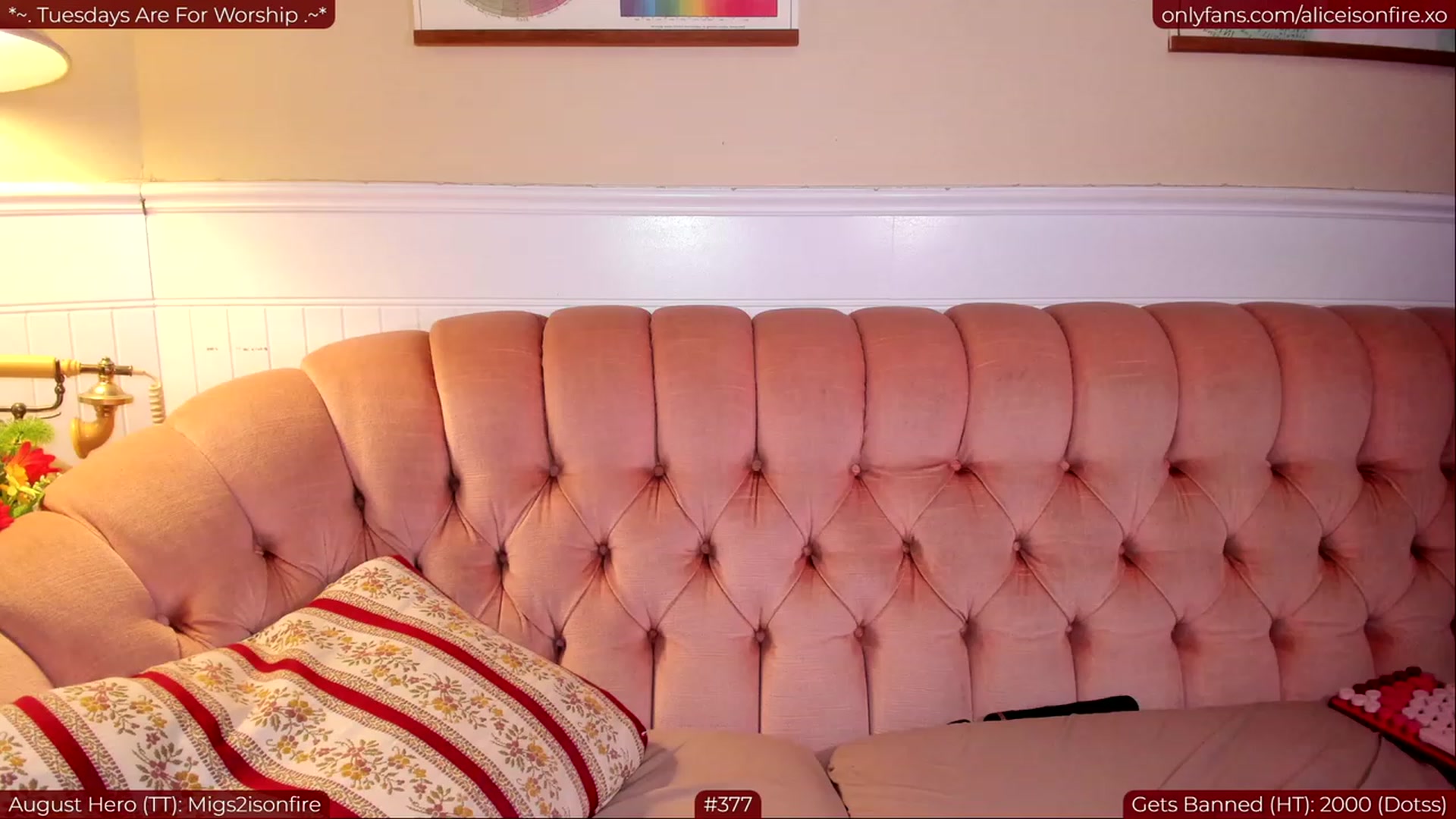 Gallery image thumbnail from aliceGPT's myfreecams stream on, 08/23/2023, 08:04 image 11 of 20