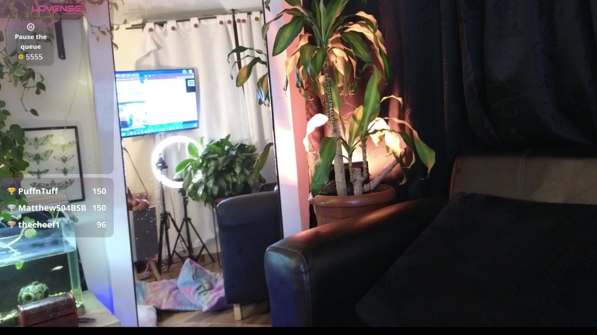Gallery image thumbnail from alice_xxx_'s myfreecams stream on, 02/08/2026, 04:10 image 15 of 20