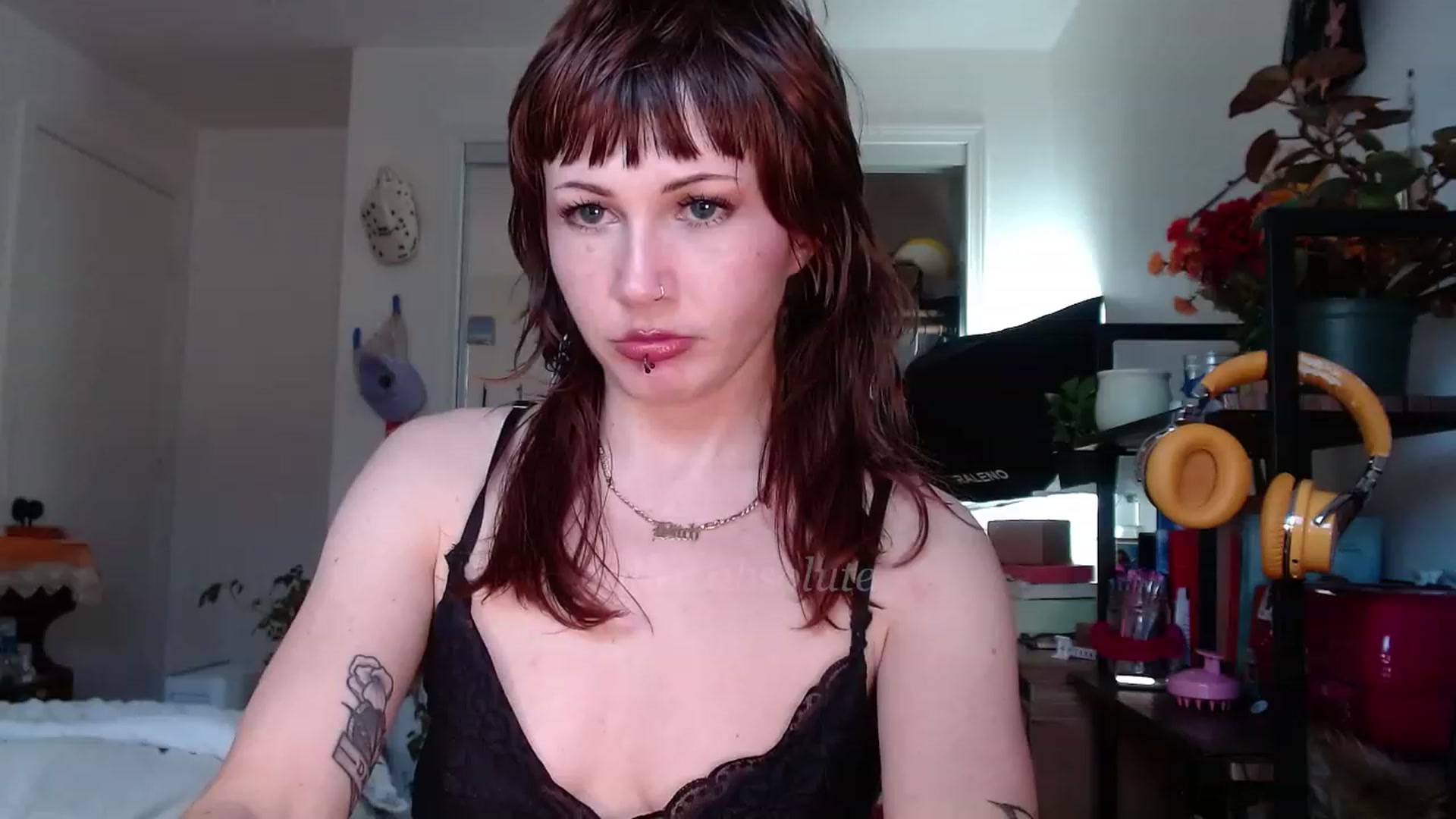 Gallery image thumbnail from aliceabs0lute's myfreecams stream on, 12/08/2022, 20:28 image 3 of 20