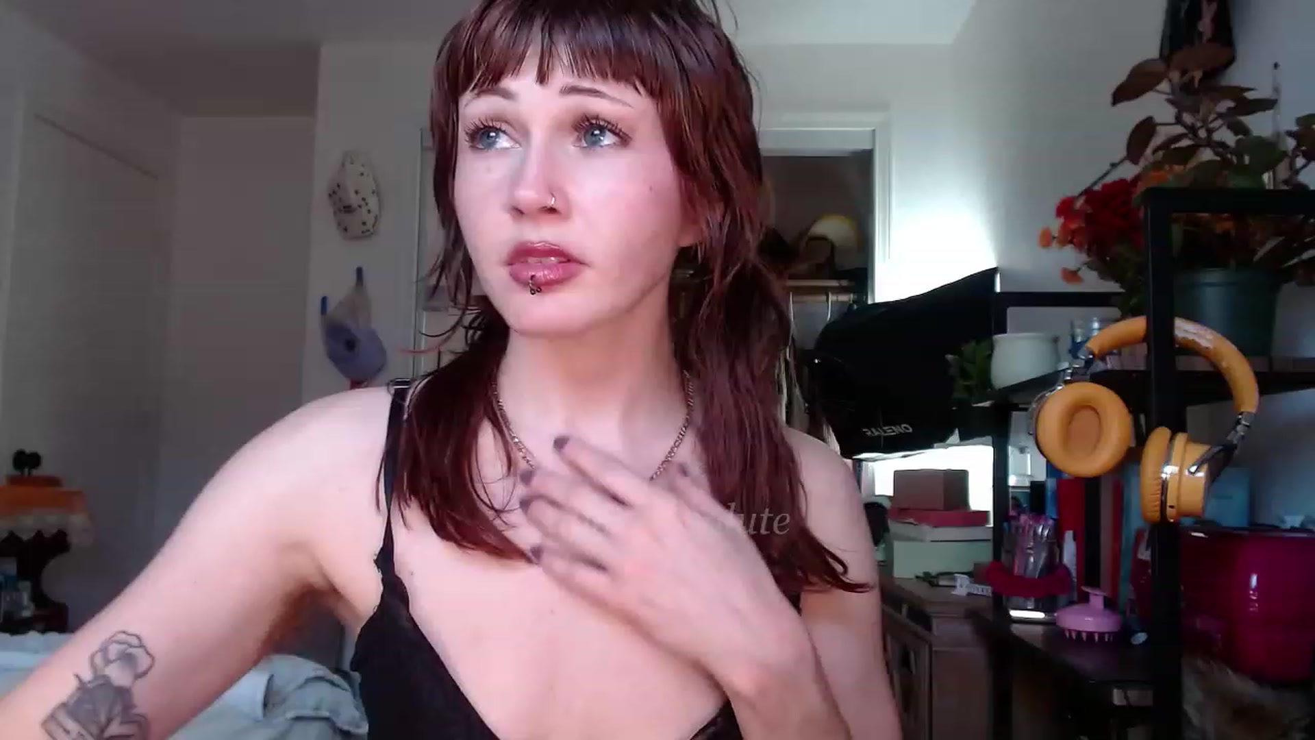 Gallery image thumbnail from aliceabs0lute's myfreecams stream on, 12/08/2022, 20:28 image 11 of 20