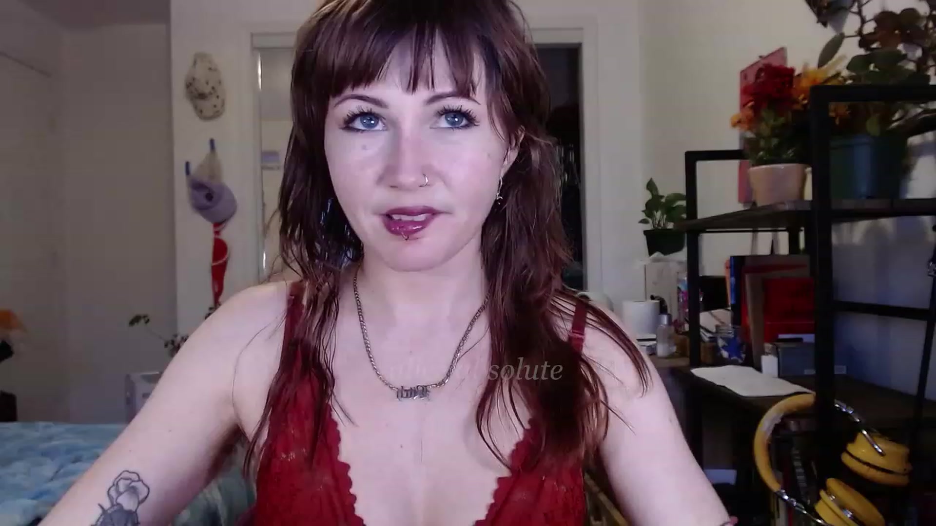Gallery image thumbnail from aliceabs0lute's myfreecams stream on, 12/30/2022, 24:04 image 3 of 20