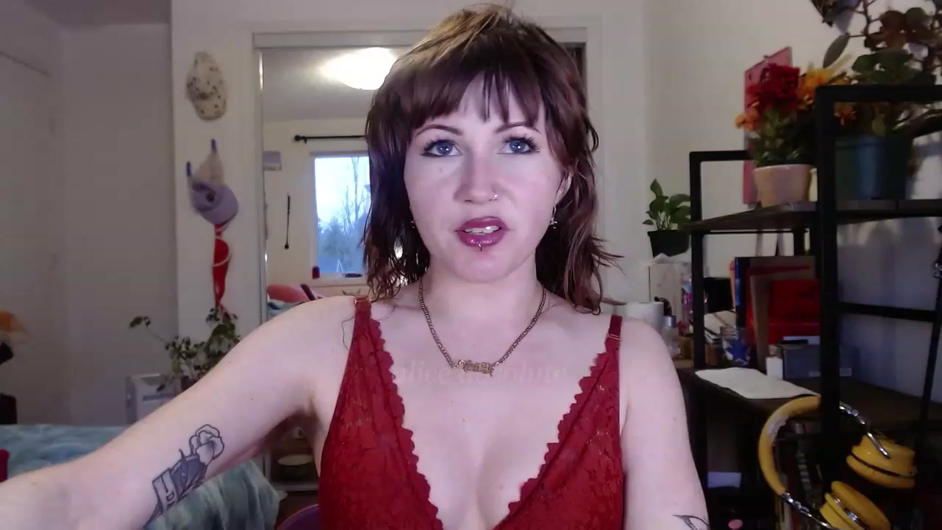 Gallery image thumbnail from aliceabs0lute's myfreecams stream on, 12/30/2022, 24:04 image 9 of 20
