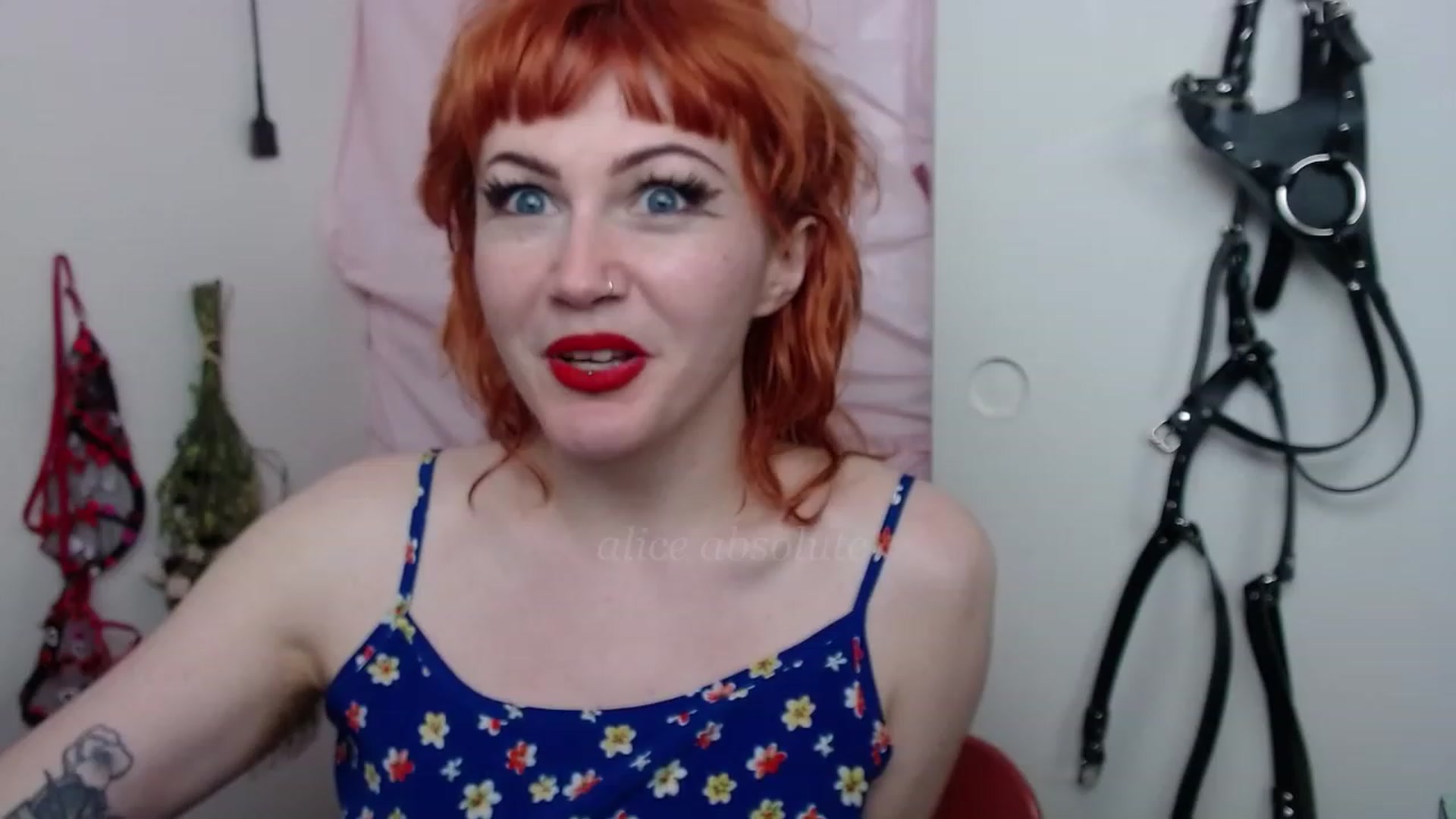 Gallery image thumbnail from aliceabs0lute's myfreecams stream on, 02/27/2023, 21:53 image 15 of 20