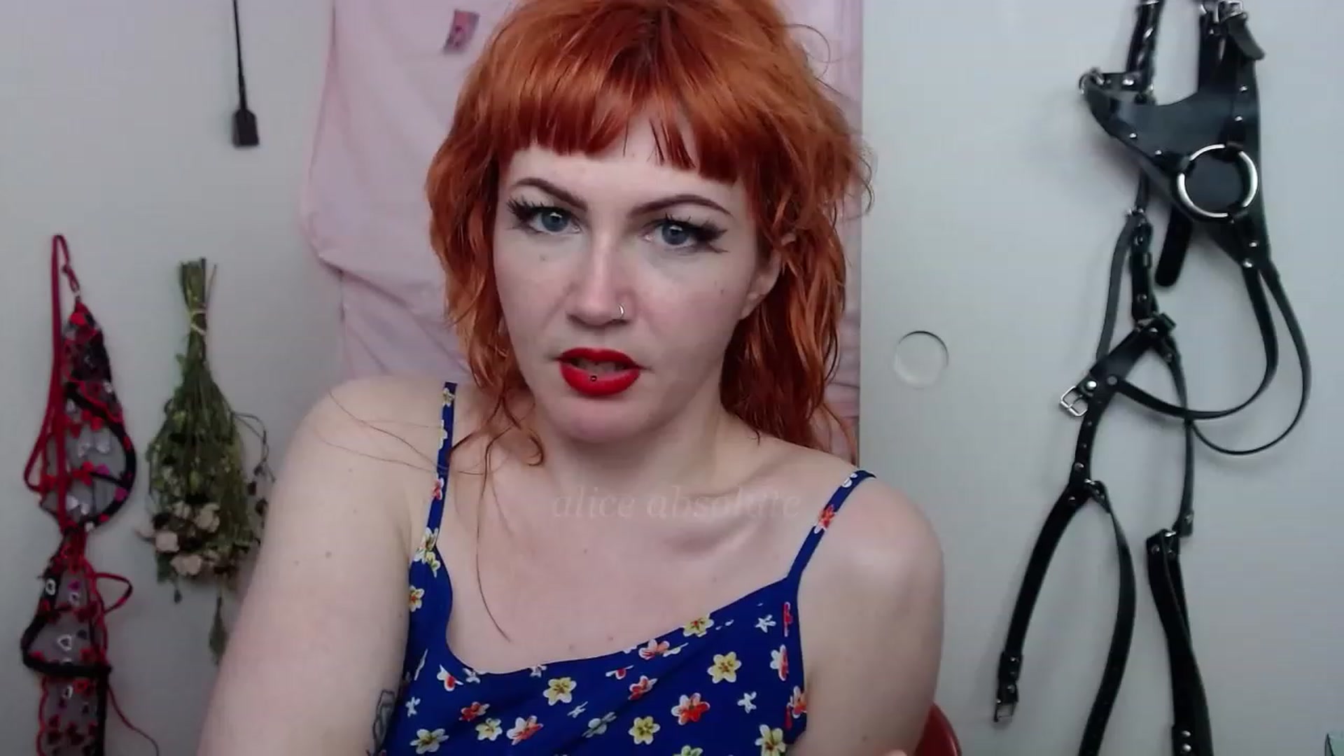 Gallery image thumbnail from aliceabs0lute's myfreecams stream on, 02/27/2023, 21:53 image 14 of 20