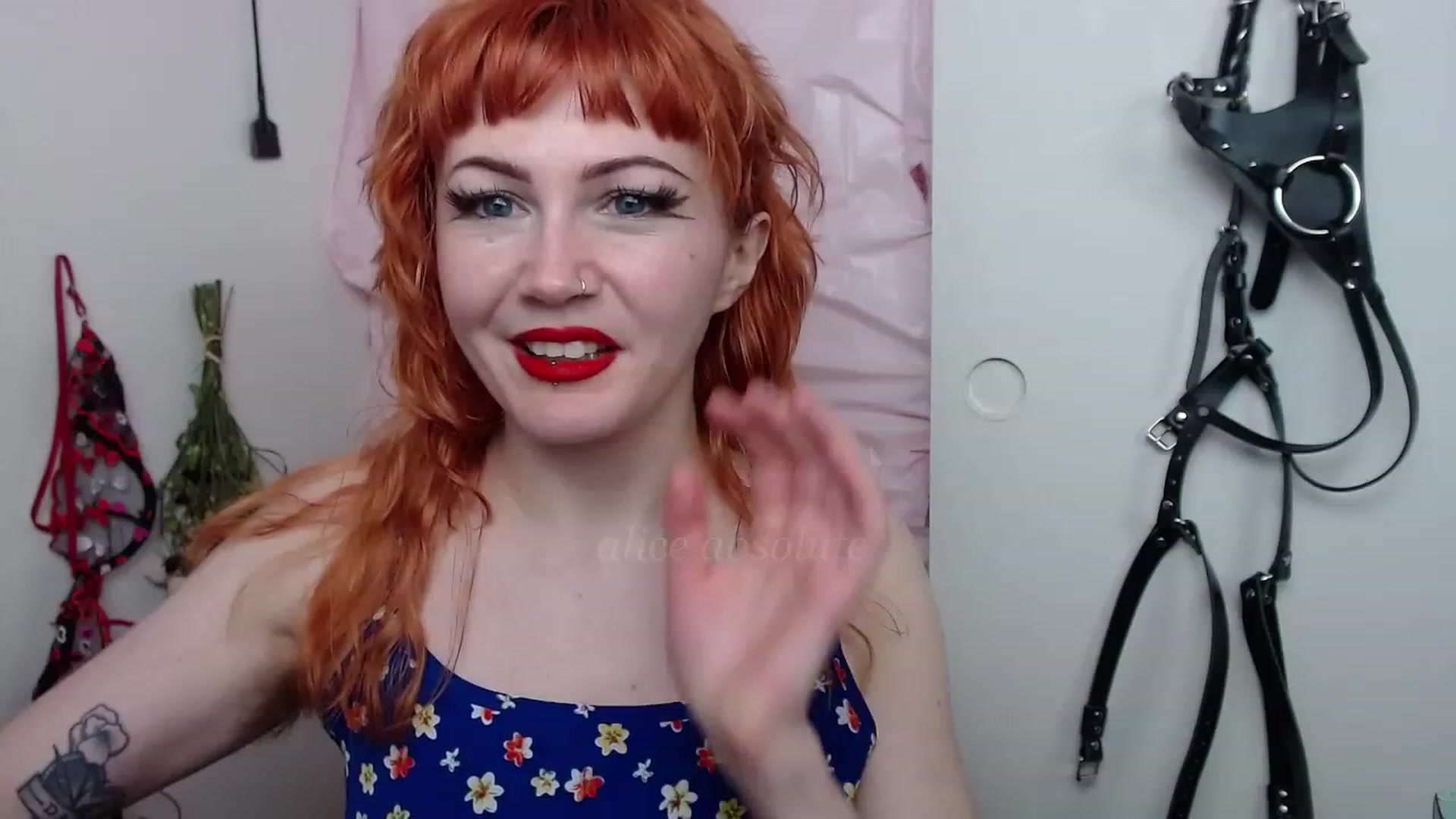 Gallery image thumbnail from aliceabs0lute's myfreecams stream on, 02/27/2023, 21:53 image 5 of 20