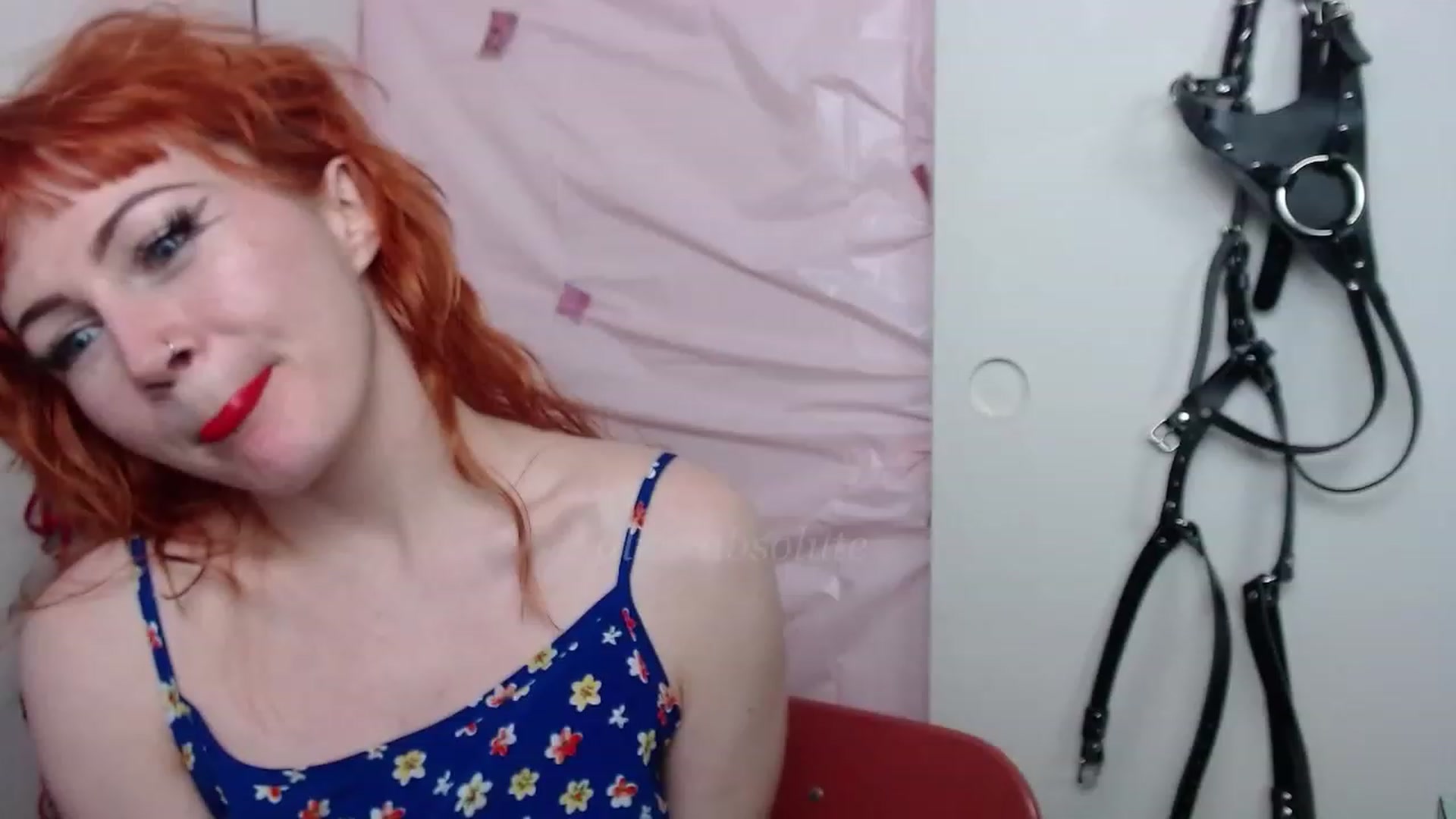 Gallery image thumbnail from aliceabs0lute's myfreecams stream on, 02/27/2023, 21:53 image 13 of 20