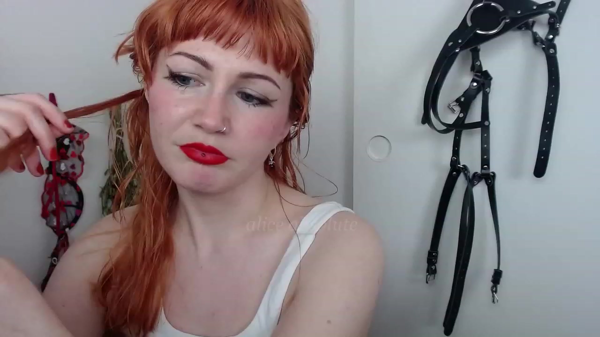 Gallery image thumbnail from aliceabs0lute's myfreecams stream on, 03/10/2023, 20:32 image 13 of 20