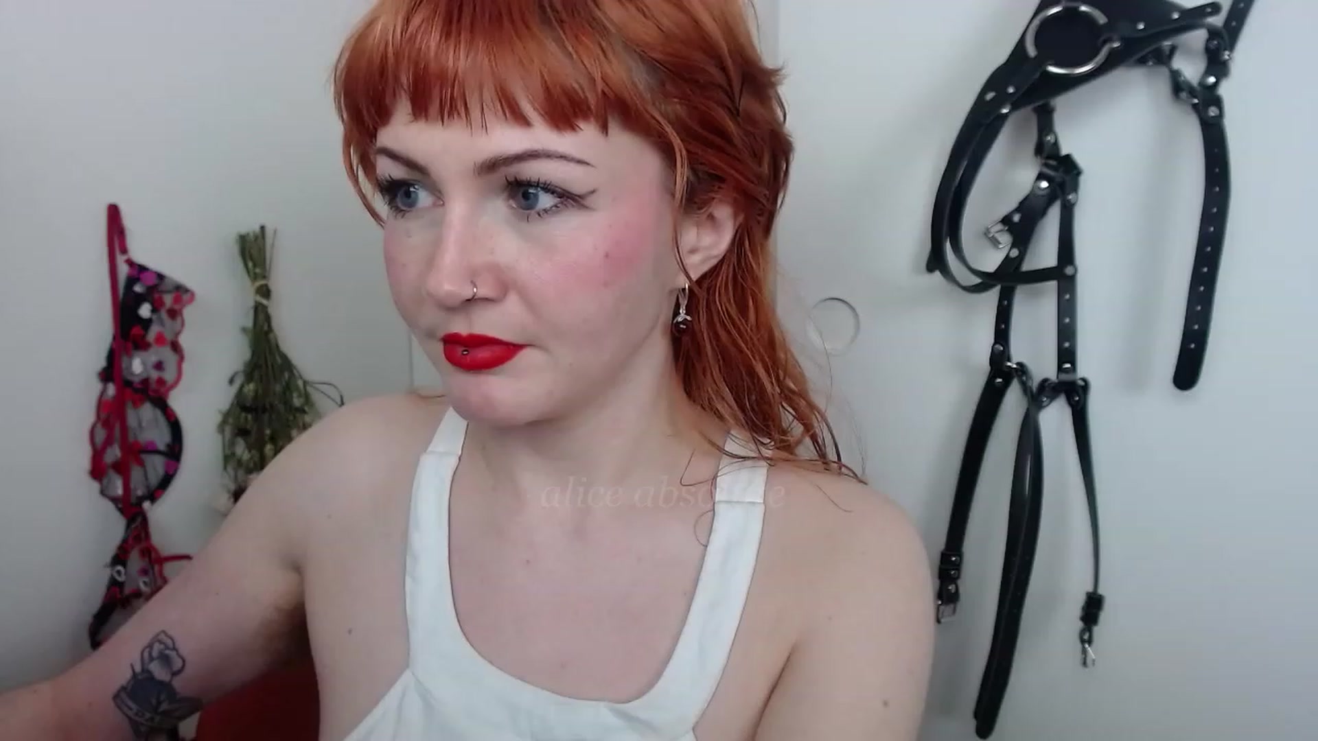 Gallery image thumbnail from aliceabs0lute's myfreecams stream on, 03/10/2023, 20:32 image 4 of 20