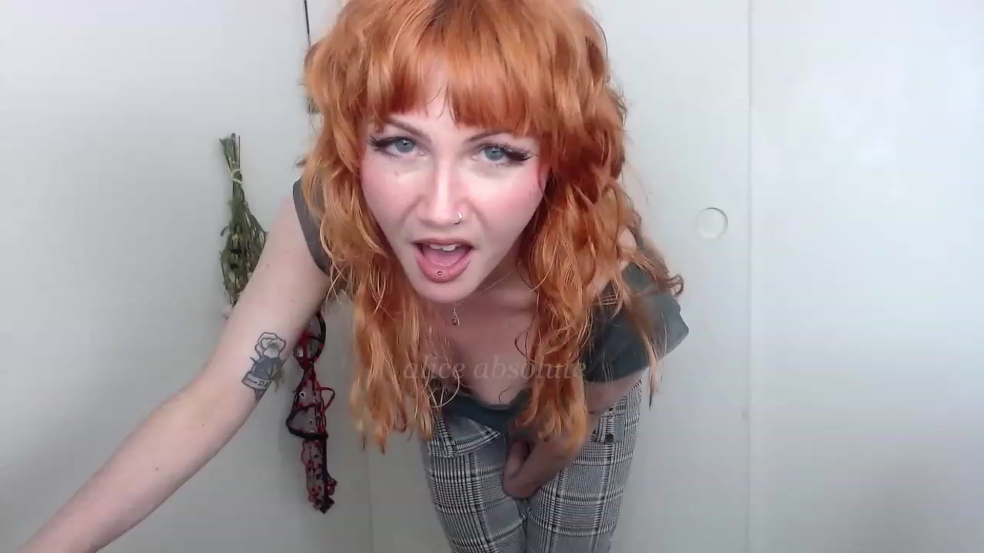 Gallery image thumbnail from aliceabs0lute's myfreecams stream on, 03/22/2023, 22:11 image 11 of 20