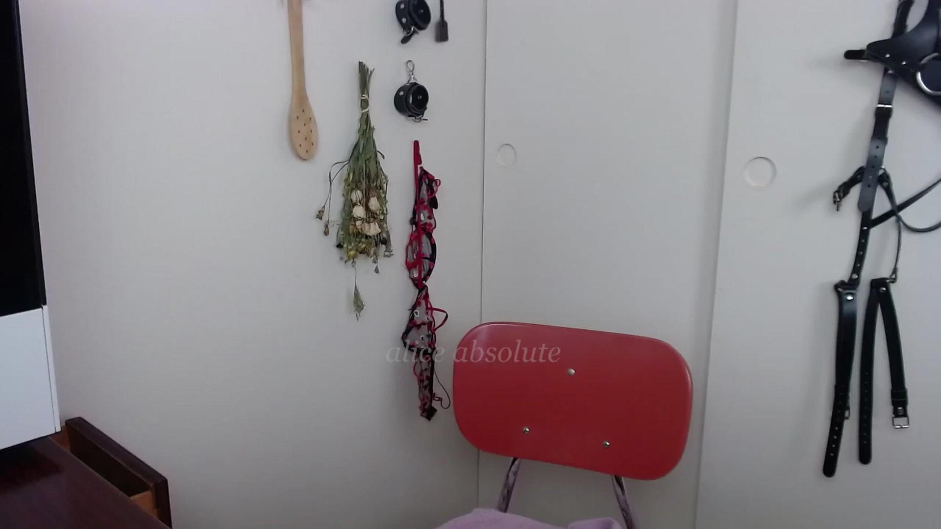 Gallery image thumbnail from aliceabs0lute's myfreecams stream on, 03/27/2023, 21:59 image 19 of 20