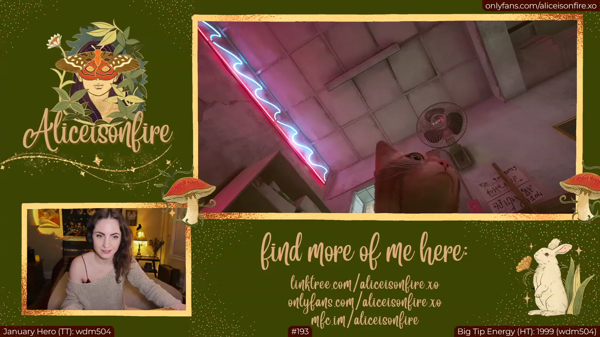 Gallery image thumbnail from aliceisonfire's myfreecams stream on, 01/26/2023, 06:11 image 11 of 20