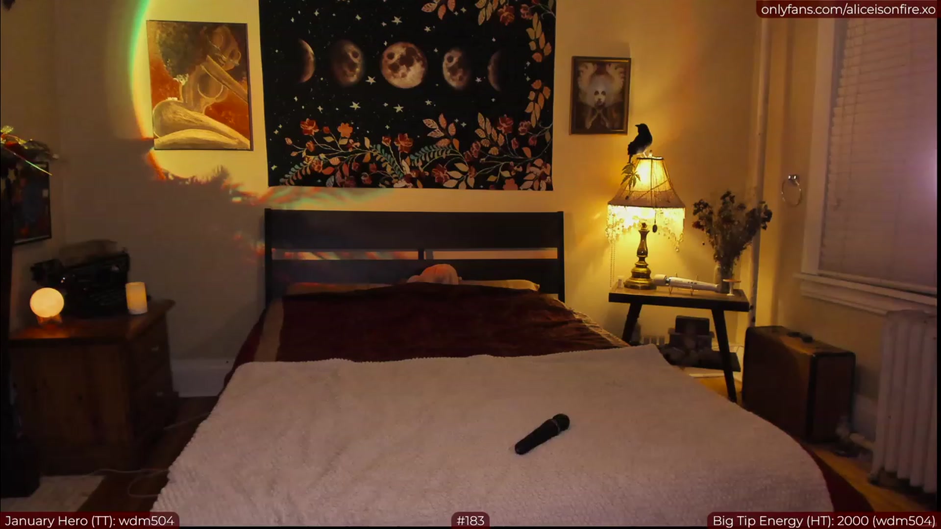 Gallery image thumbnail from aliceisonfire's myfreecams stream on, 01/30/2023, 05:00 image 1 of 20