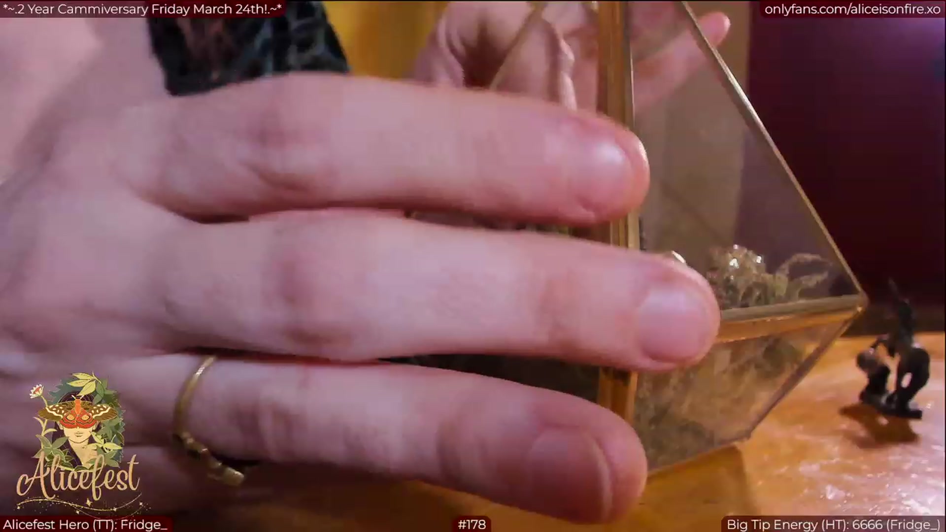 Gallery image thumbnail from aliceisonfire's myfreecams stream on, 03/21/2023, 05:13 image 17 of 20