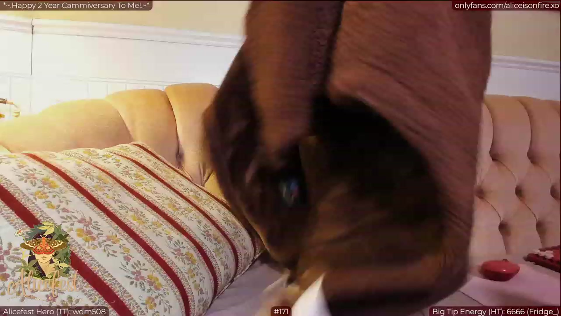 Gallery image thumbnail from aliceisonfire's myfreecams stream on, 03/30/2023, 08:14 image 10 of 20