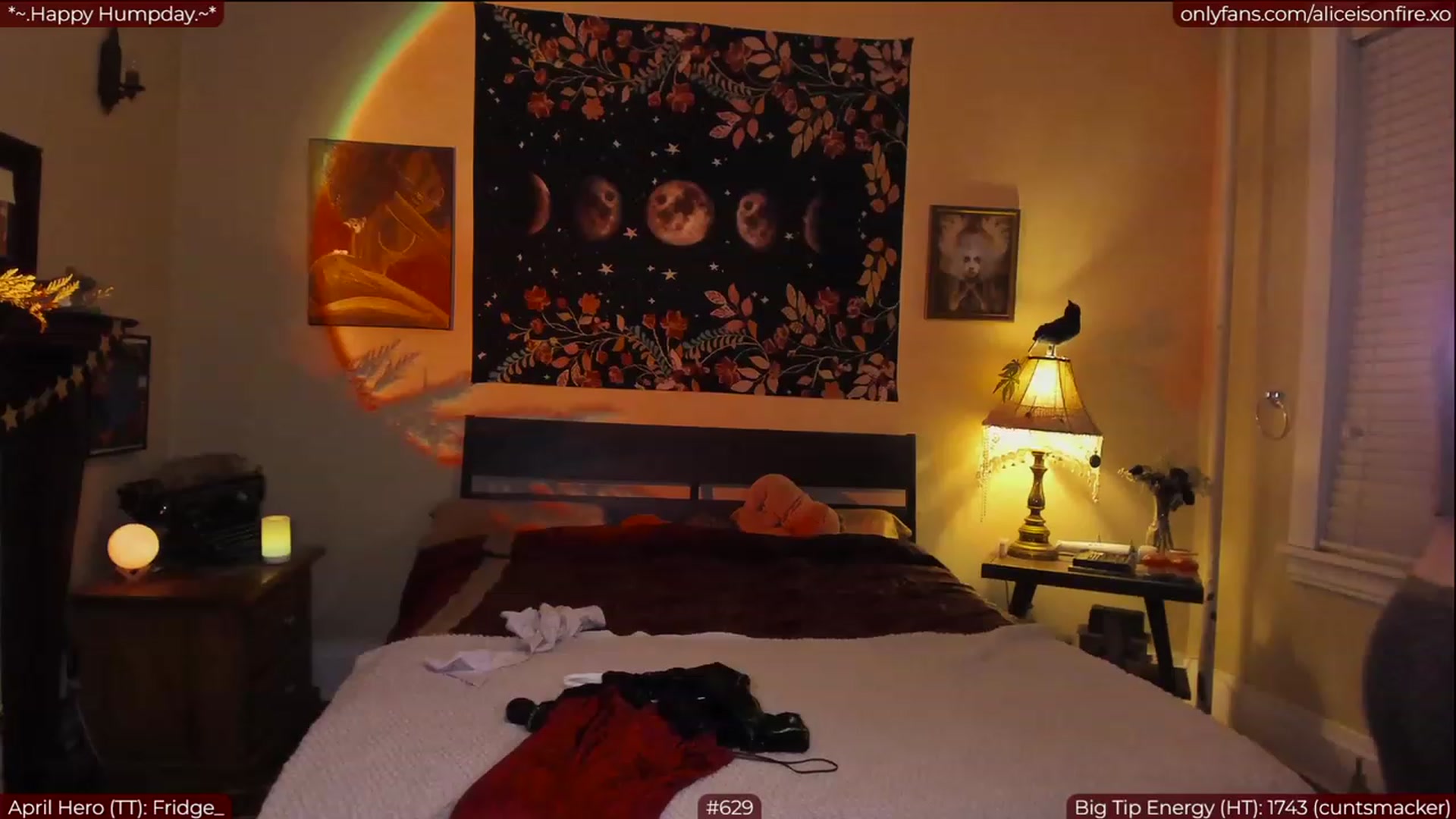 Gallery image thumbnail from aliceisonfire's myfreecams stream on, 04/13/2023, 03:27 image 9 of 20