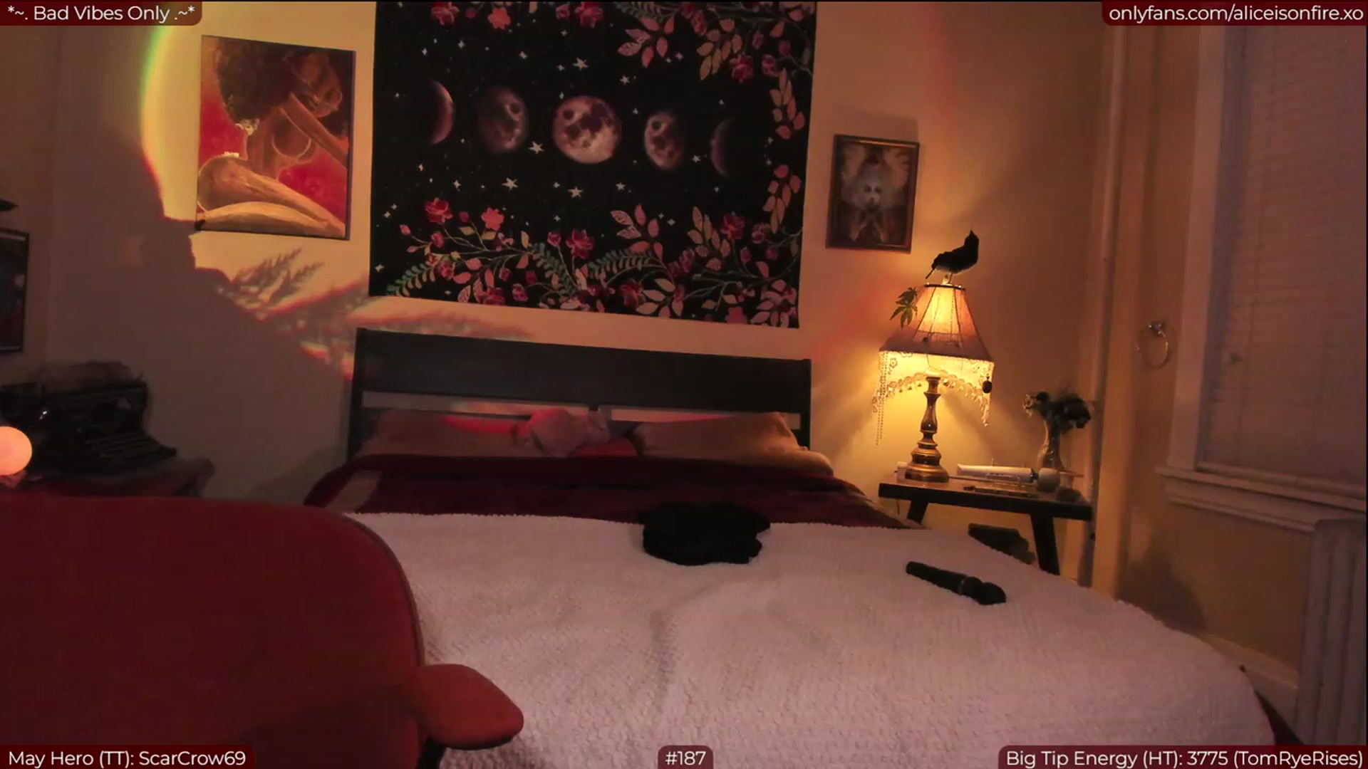 Gallery image thumbnail from aliceisonfire's myfreecams stream on, 05/27/2023, 05:56 image 10 of 20
