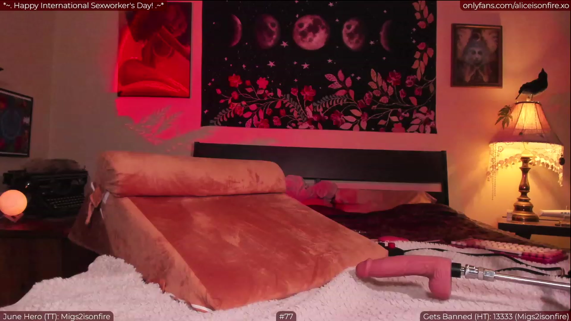 Gallery image thumbnail from aliceisonfire's myfreecams stream on, 06/03/2023, 05:13 image 5 of 20
