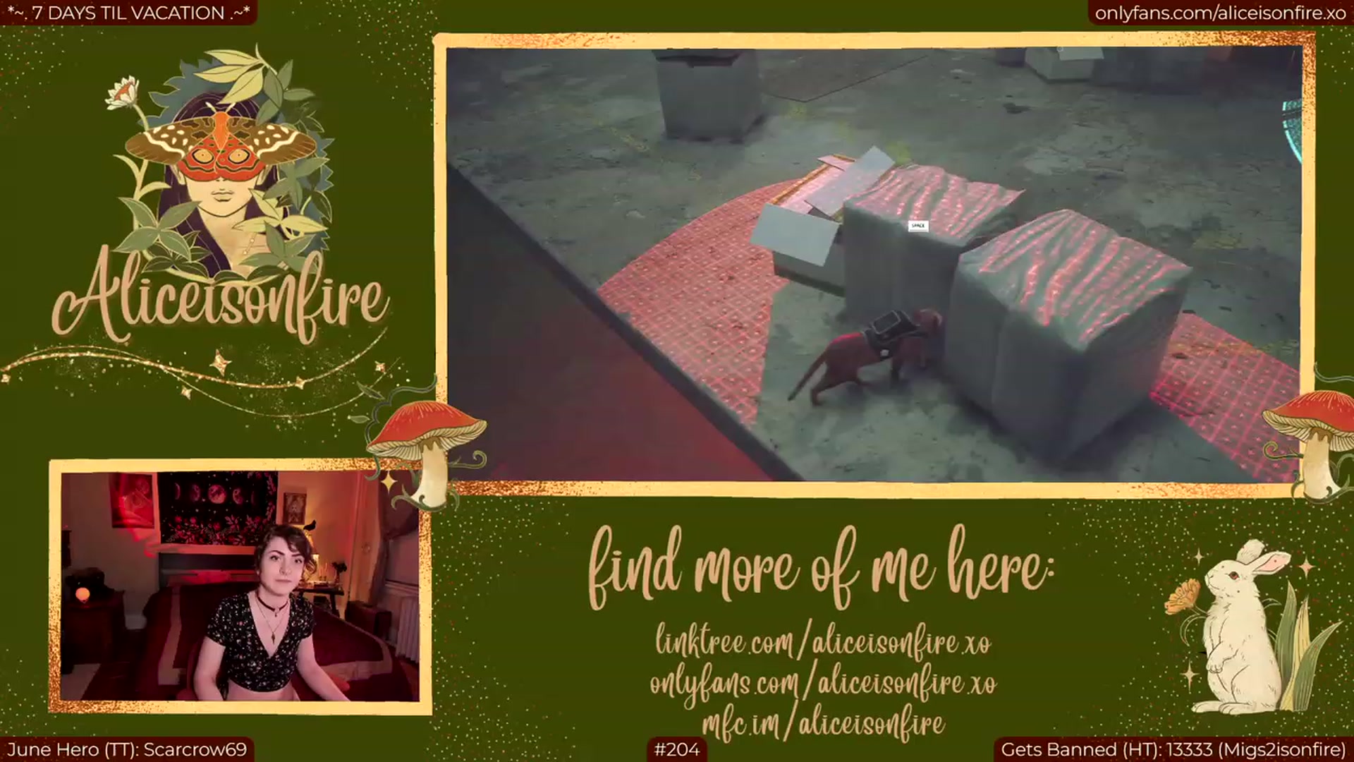 Gallery image thumbnail from aliceisonfire's myfreecams stream on, 06/27/2023, 05:00 image 10 of 20