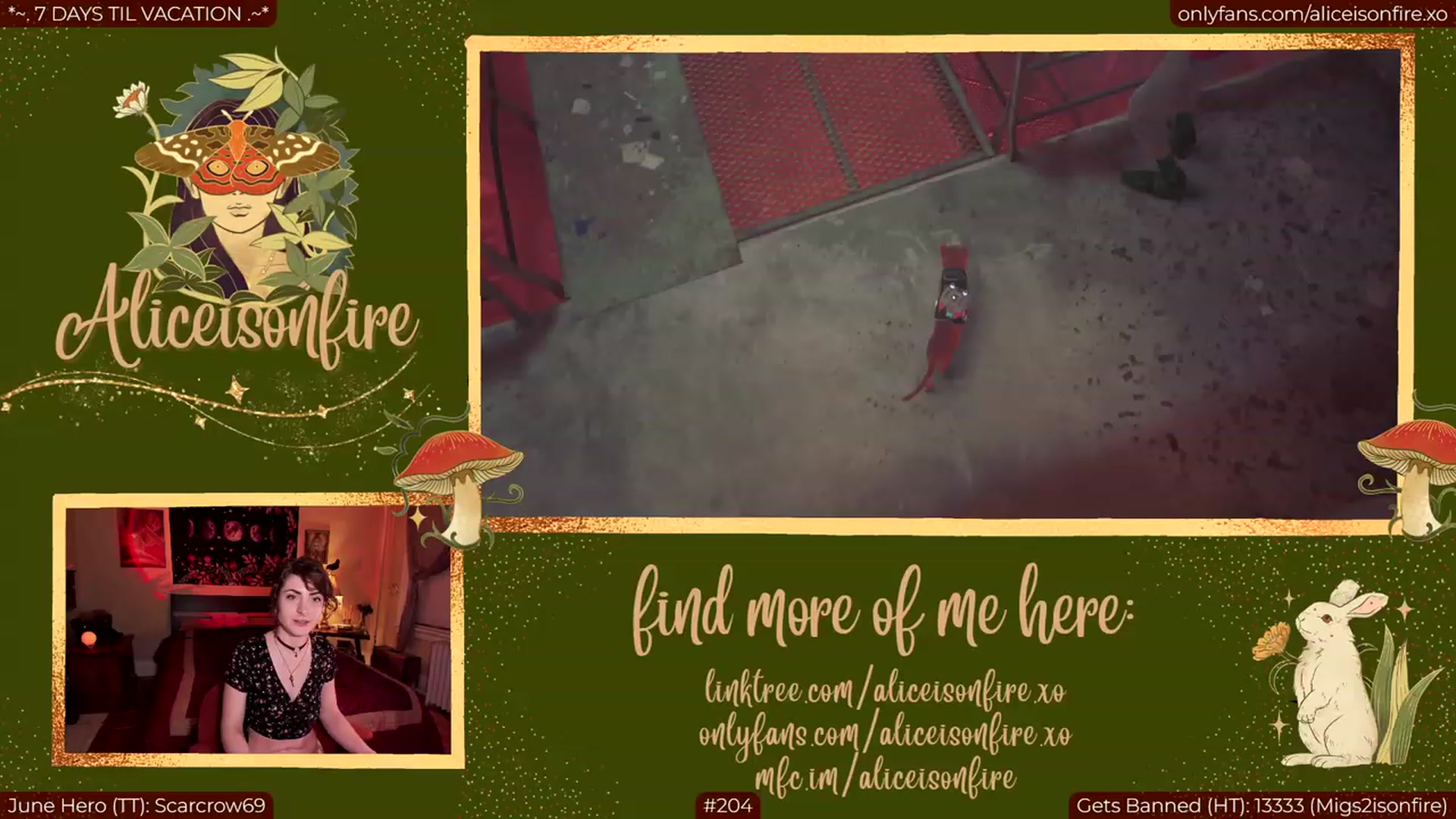 Gallery image thumbnail from aliceisonfire's myfreecams stream on, 06/27/2023, 05:00 image 11 of 20