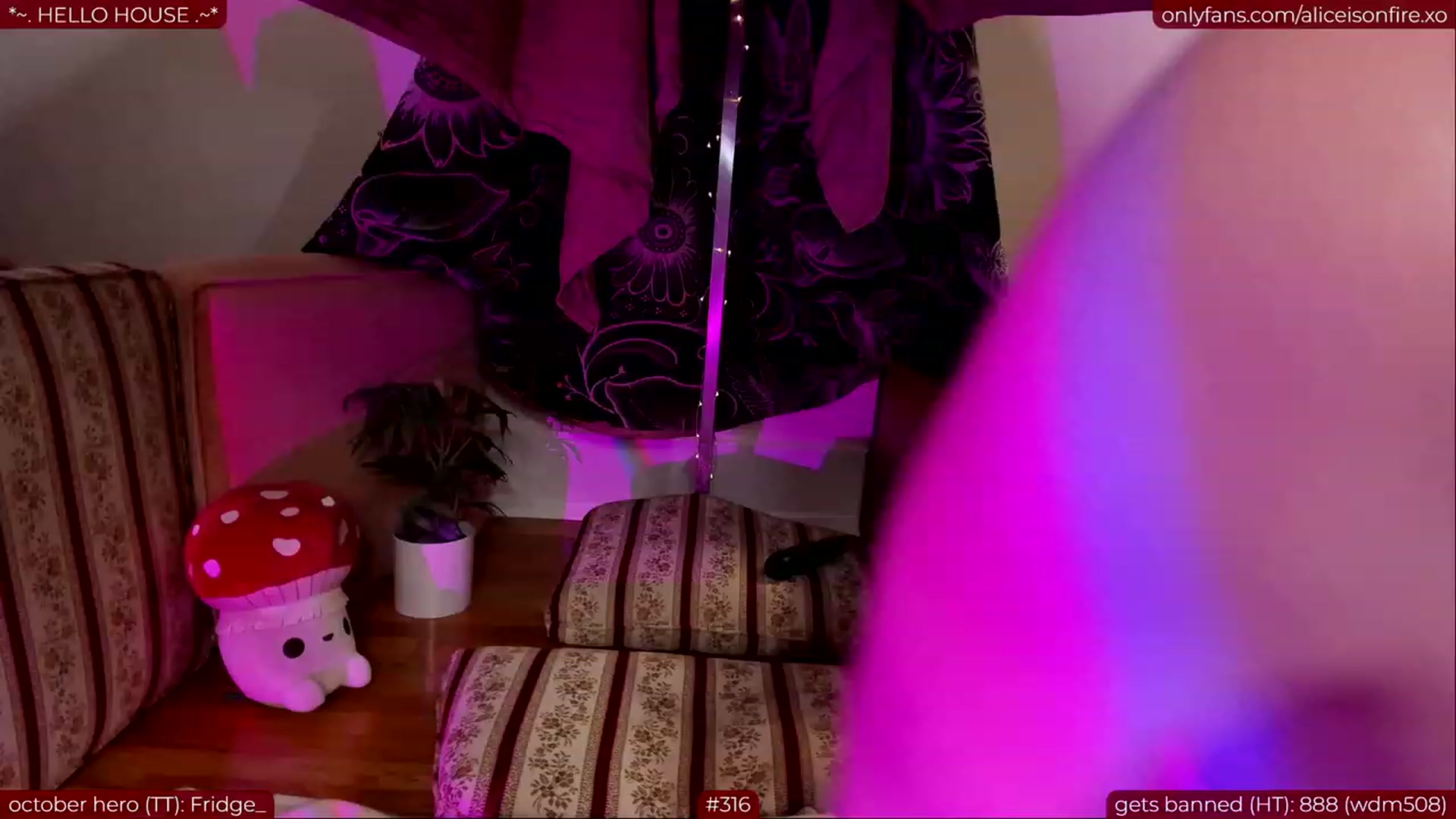 Gallery image thumbnail from aliceisonfire's myfreecams stream on, 10/25/2023, 08:47 image 17 of 20