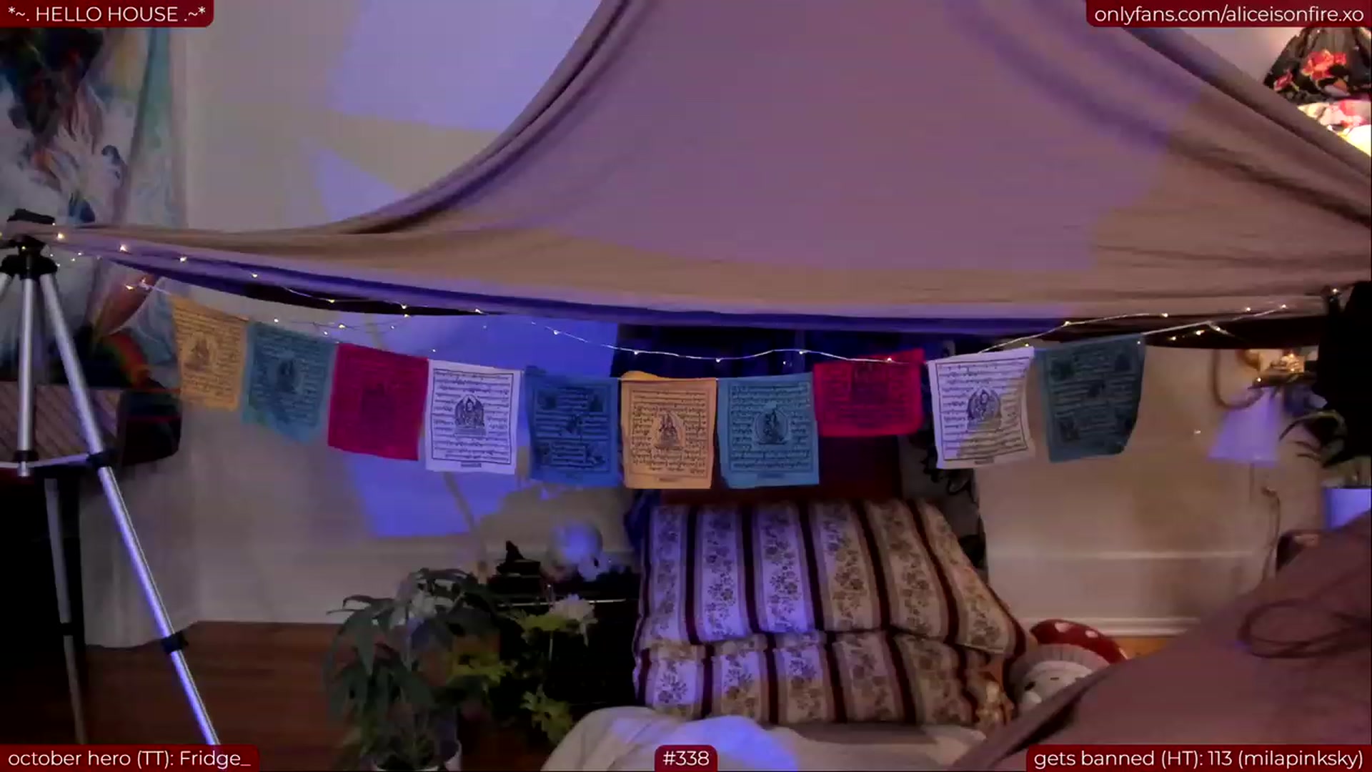 Gallery image thumbnail from aliceisonfire's myfreecams stream on, 10/28/2023, 22:57 image 15 of 20