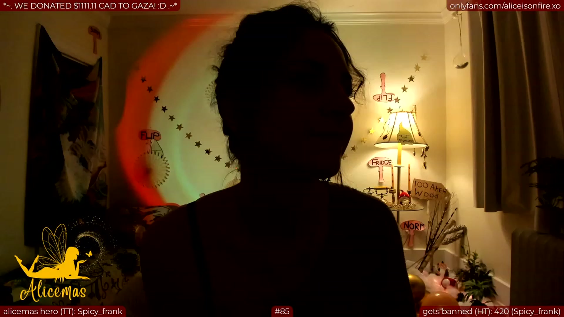 Gallery image thumbnail from aliceisonfire's myfreecams stream on, 12/27/2023, 12:40 image 13 of 20