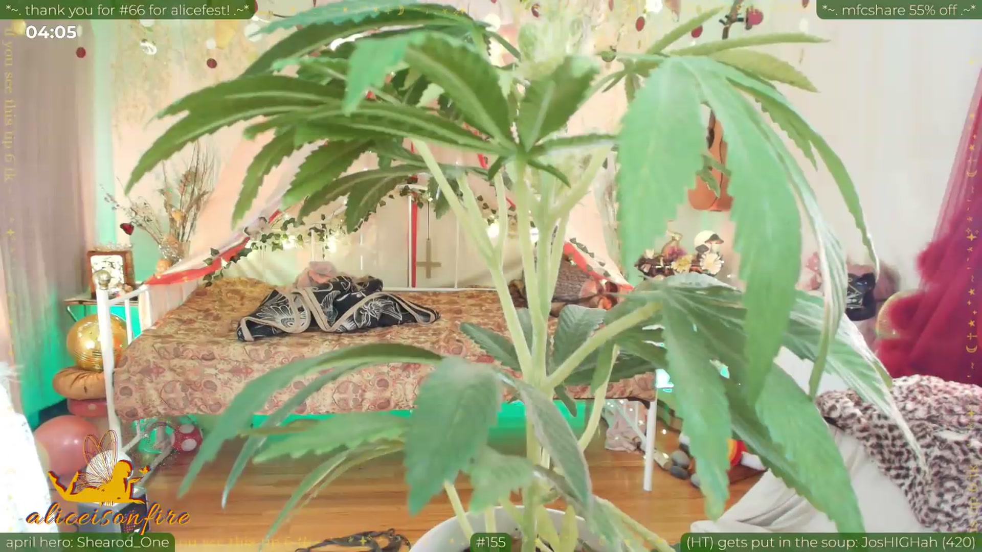 Gallery image thumbnail from aliceisonfire's myfreecams stream on, 04/21/2026, 24:03 image 16 of 20