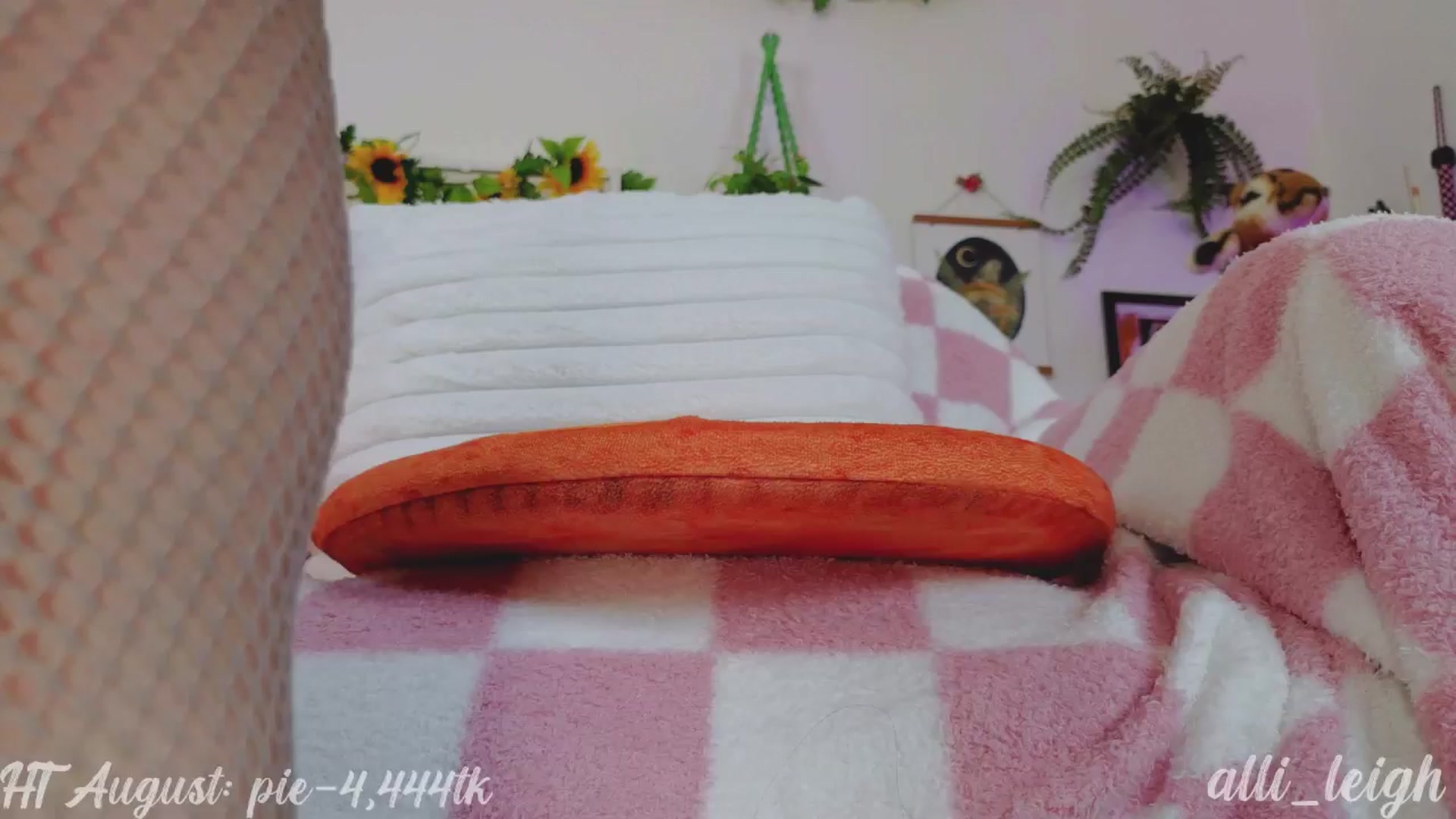 Gallery image thumbnail from alli_leigh's myfreecams stream on, 08/19/2024, 02:08 image 12 of 20