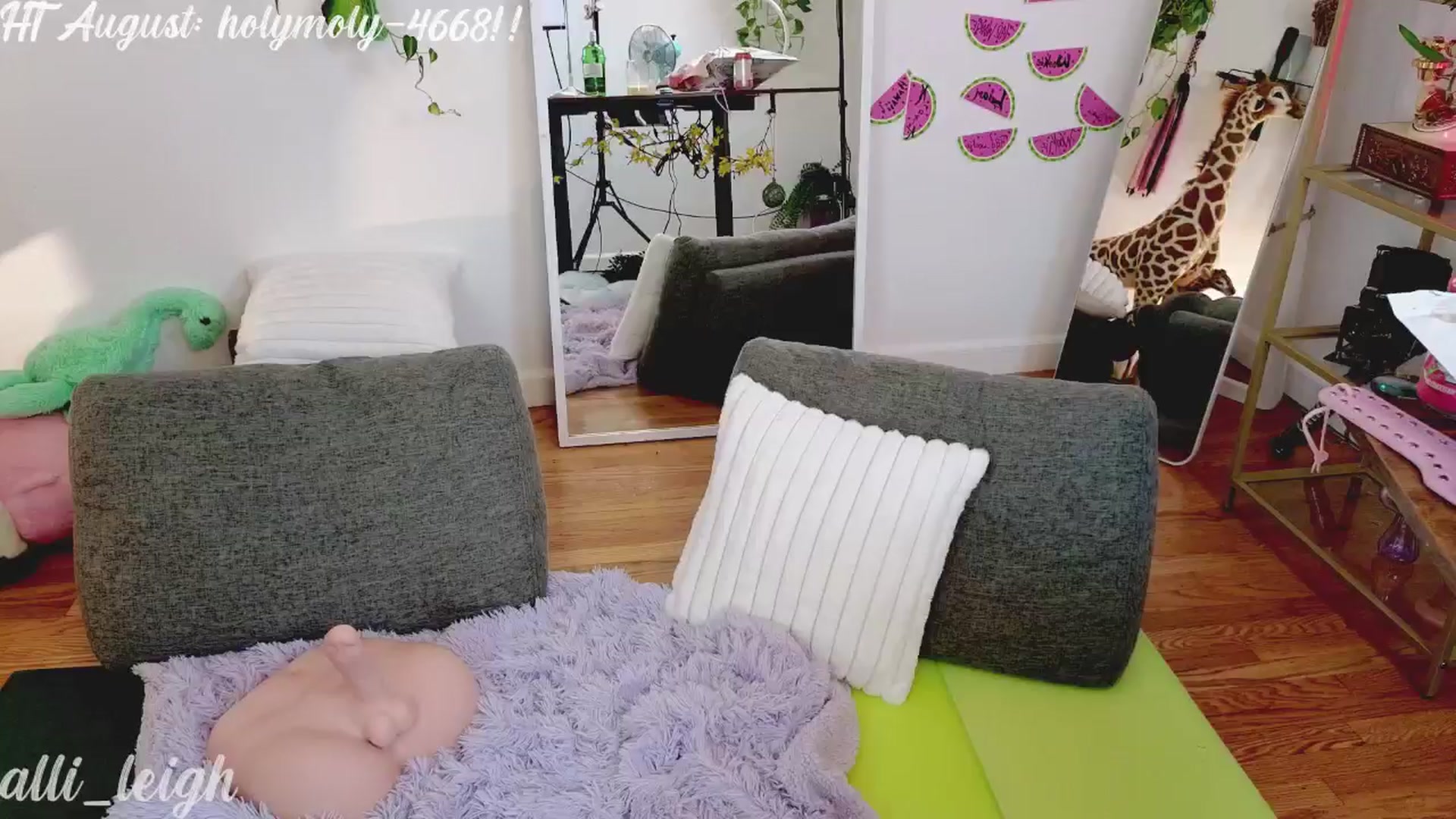 Gallery image thumbnail from alli_leigh's myfreecams stream on, 08/27/2024, 04:44 image 6 of 20