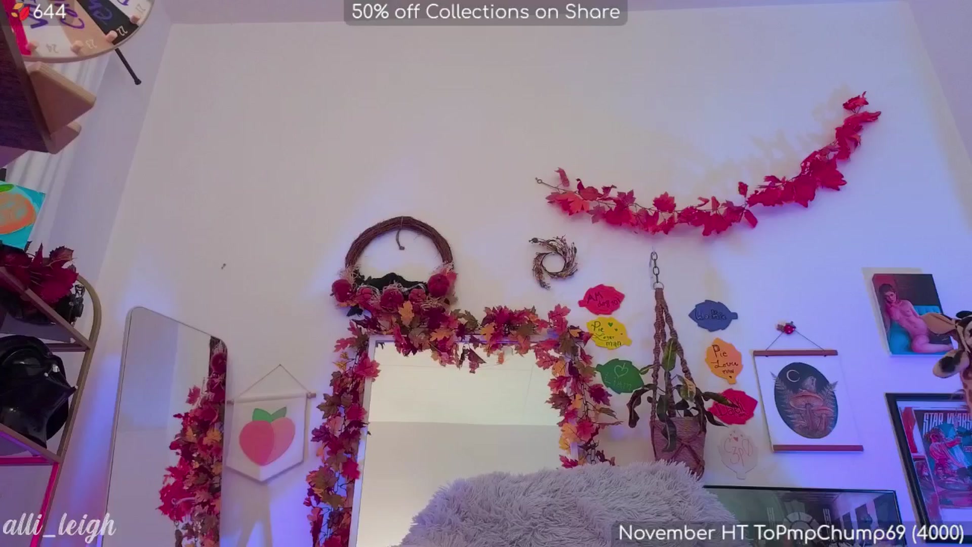 Gallery image thumbnail from alli_leigh's myfreecams stream on, 11/11/2024, 04:55 image 11 of 20