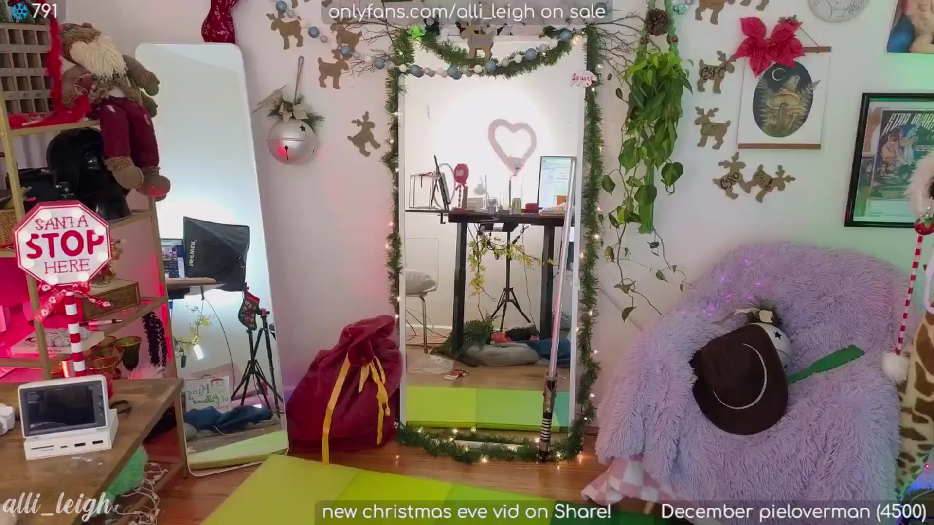 Gallery image thumbnail from alli_leigh's myfreecams stream on, 12/25/2024, 03:22 image 17 of 20