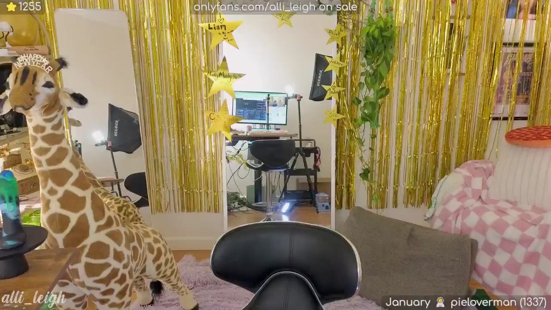 Gallery image thumbnail from alli_leigh's myfreecams stream on, 01/11/2025, 04:05 image 13 of 20