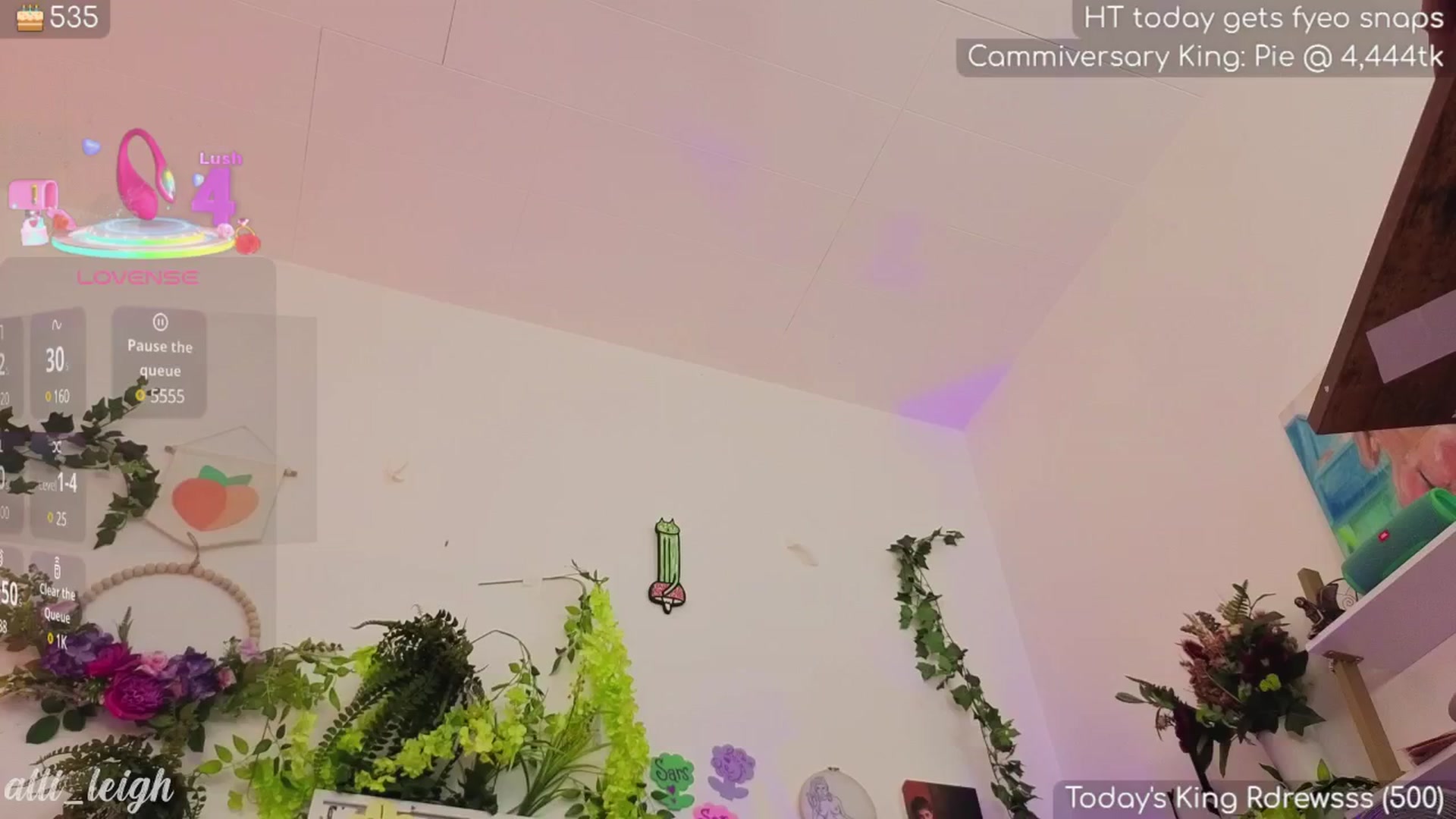 Gallery image thumbnail from alli_leigh's myfreecams stream on, 05/30/2025, 03:50 image 12 of 20