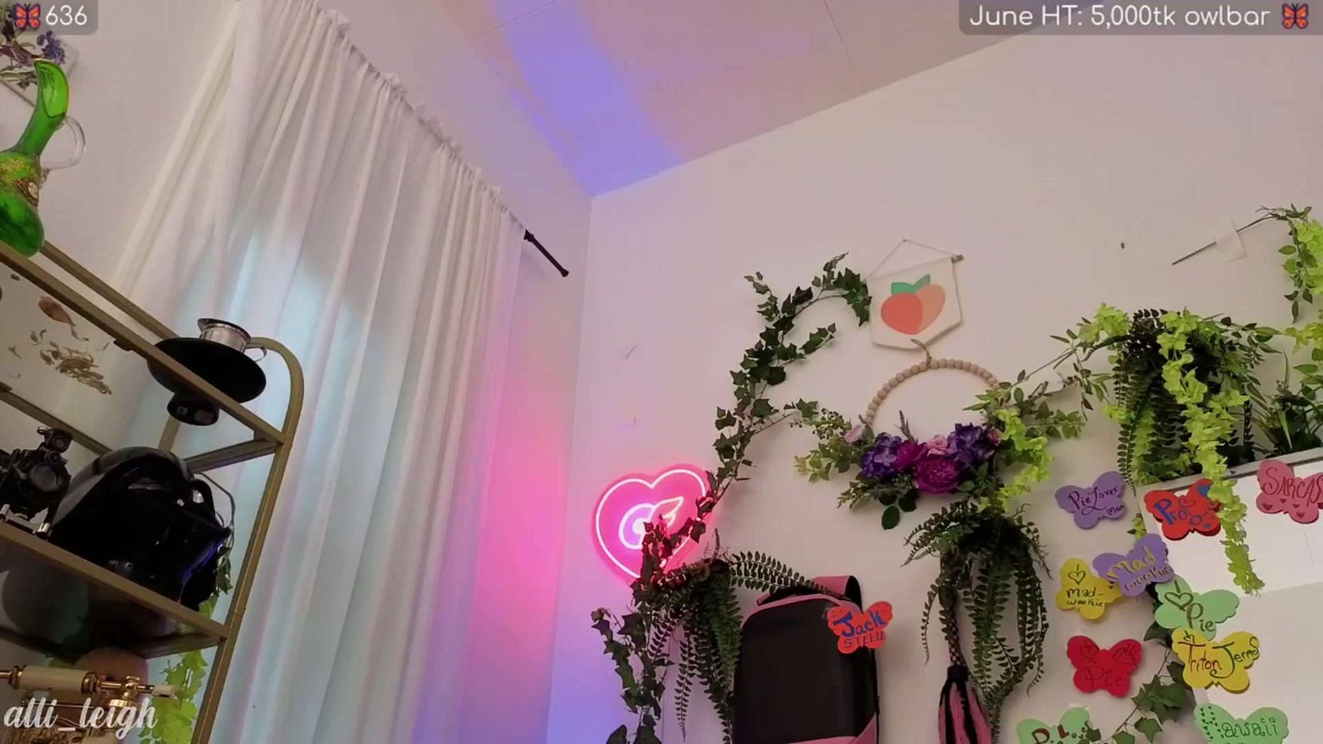 Gallery image thumbnail from alli_leigh's myfreecams stream on, 06/13/2025, 01:35 image 15 of 20