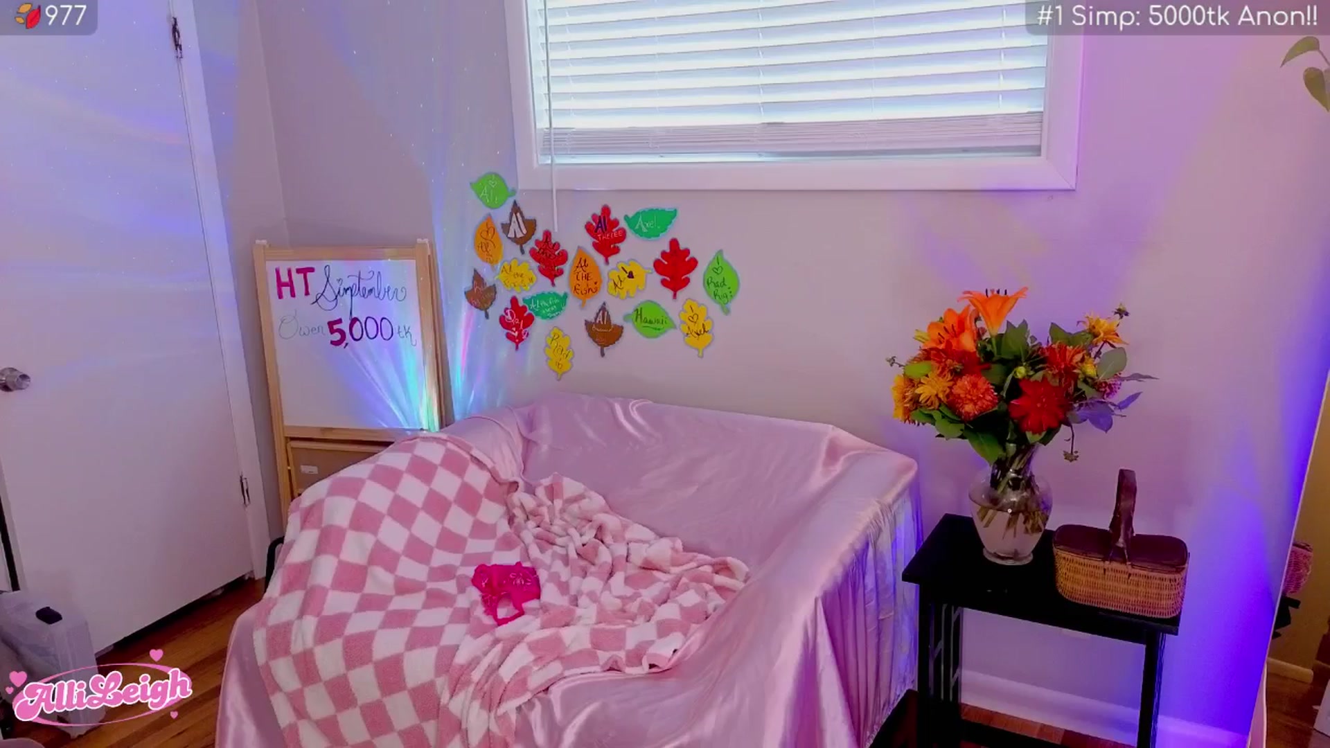 Gallery image thumbnail from alli_leigh's myfreecams stream on, 09/14/2025, 01:53 image 14 of 20