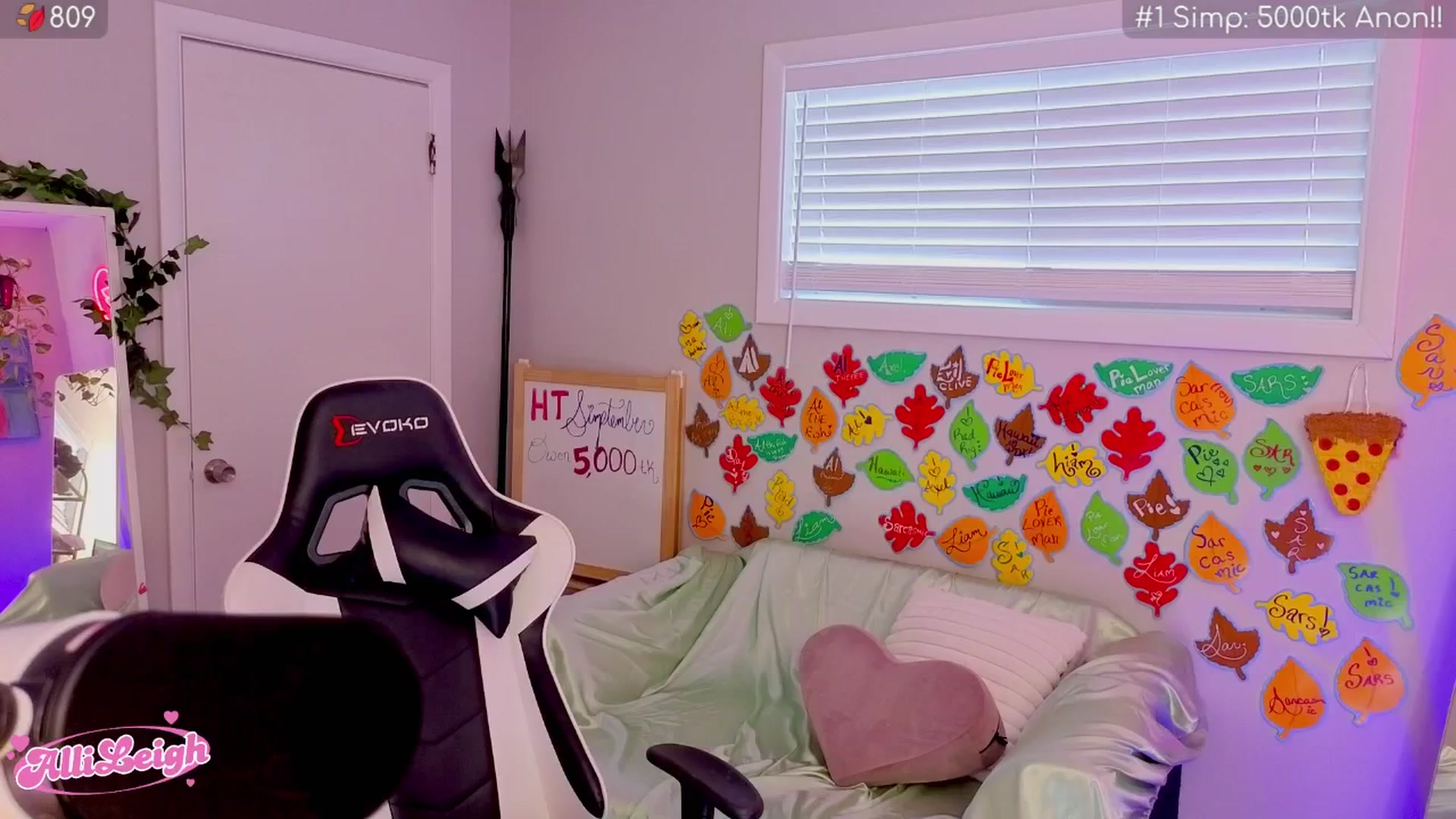 Gallery image thumbnail from alli_leigh's myfreecams stream on, 09/29/2025, 24:34 image 13 of 20