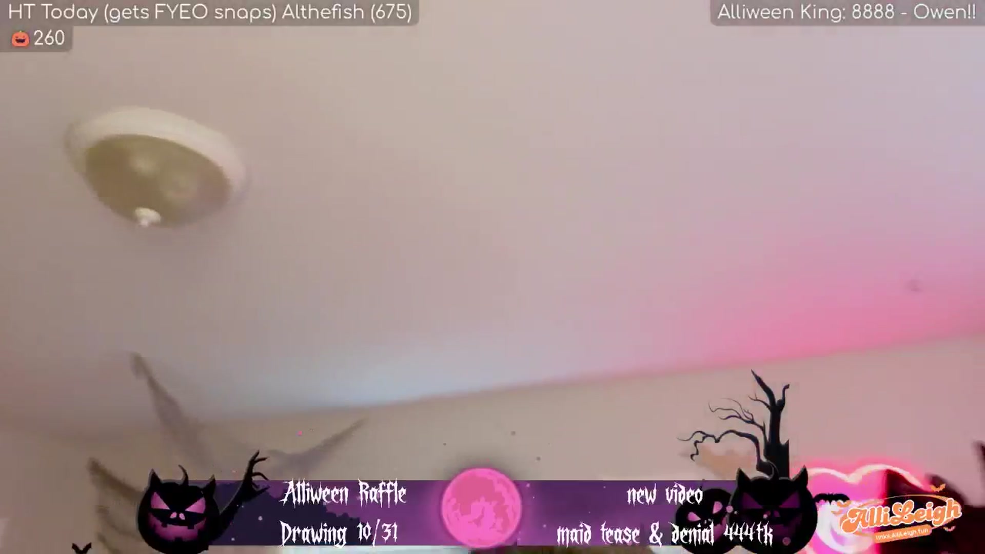 Gallery image thumbnail from alli_leigh's myfreecams stream on, 10/30/2025, 01:20 image 15 of 20