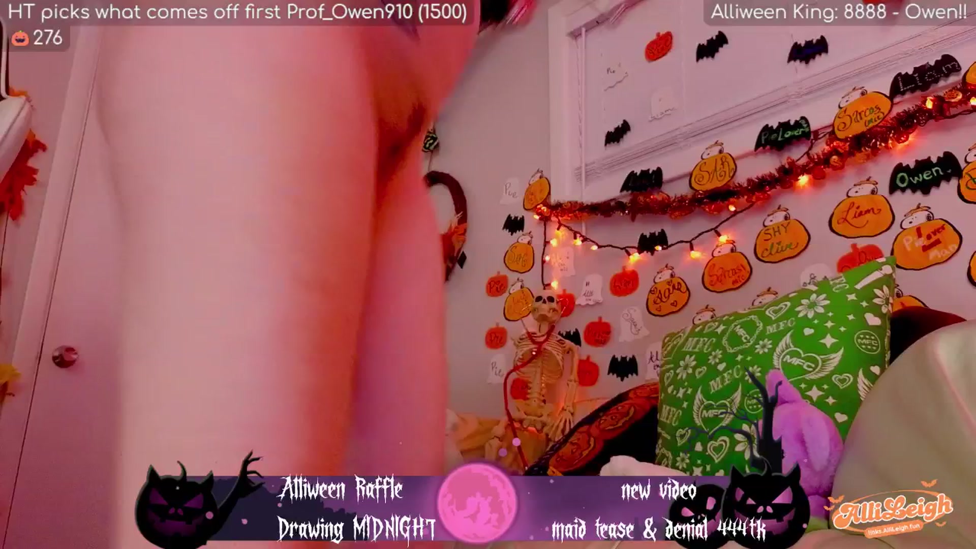 Gallery image thumbnail from alli_leigh's myfreecams stream on, 11/01/2025, 06:20 image 13 of 20