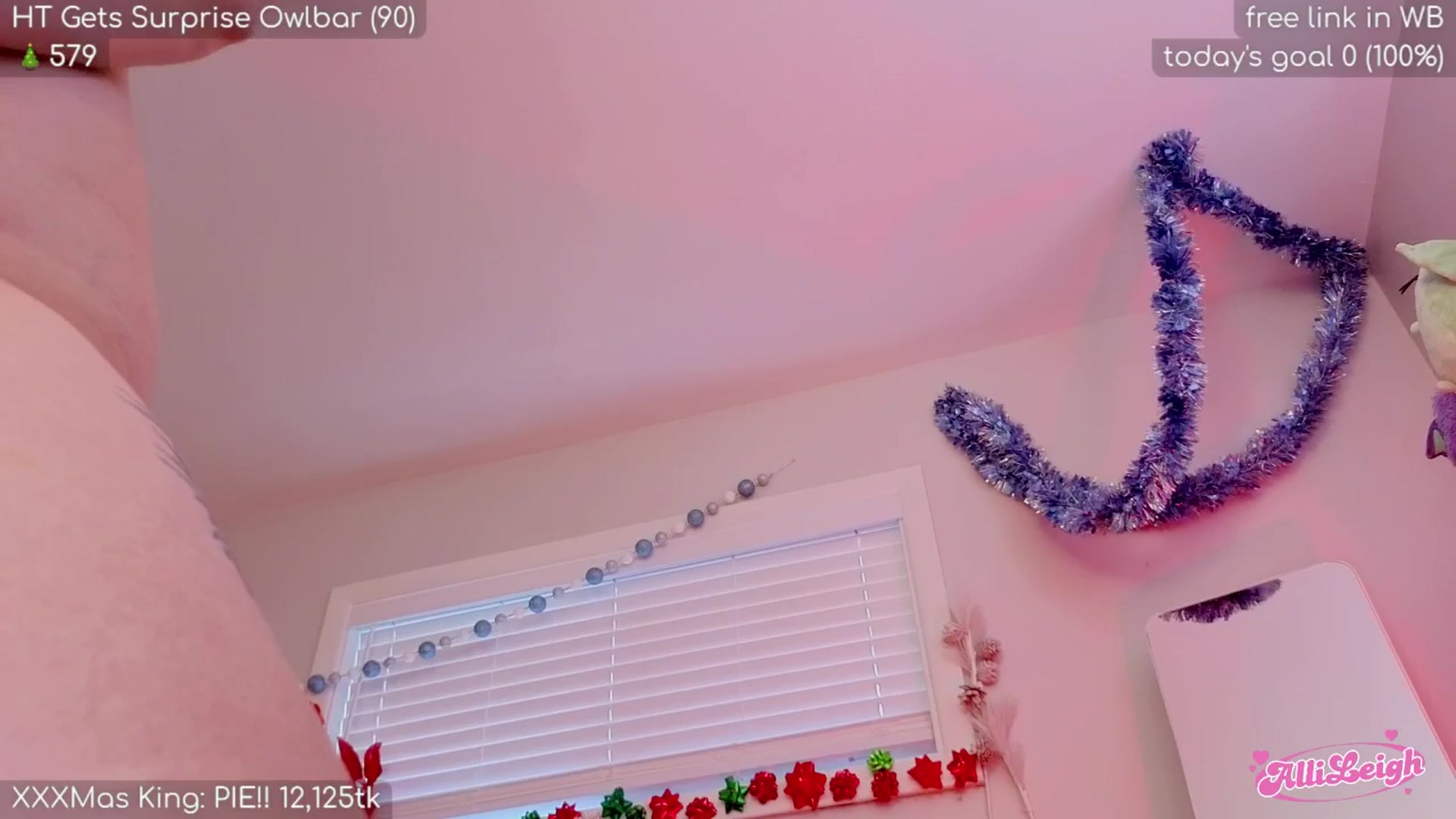 Gallery image thumbnail from alli_leigh's myfreecams stream on, 12/28/2025, 24:01 image 13 of 20