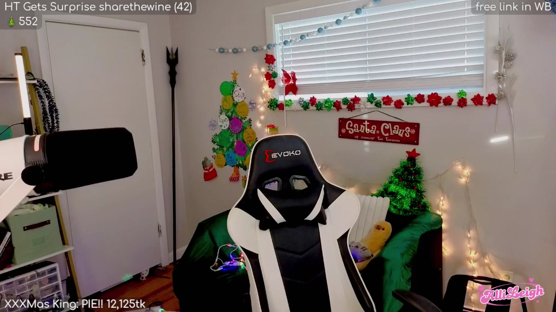 Gallery image thumbnail from alli_leigh's myfreecams stream on, 12/29/2025, 24:02 image 9 of 20