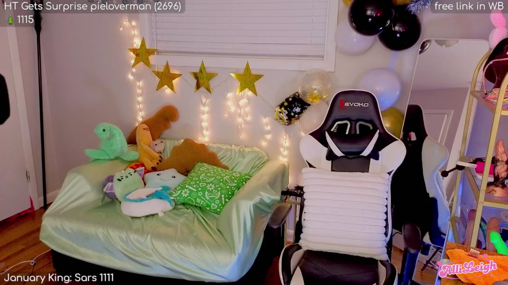 Gallery image thumbnail from alli_leigh's myfreecams stream on, 01/11/2026, 02:29 image 20 of 20