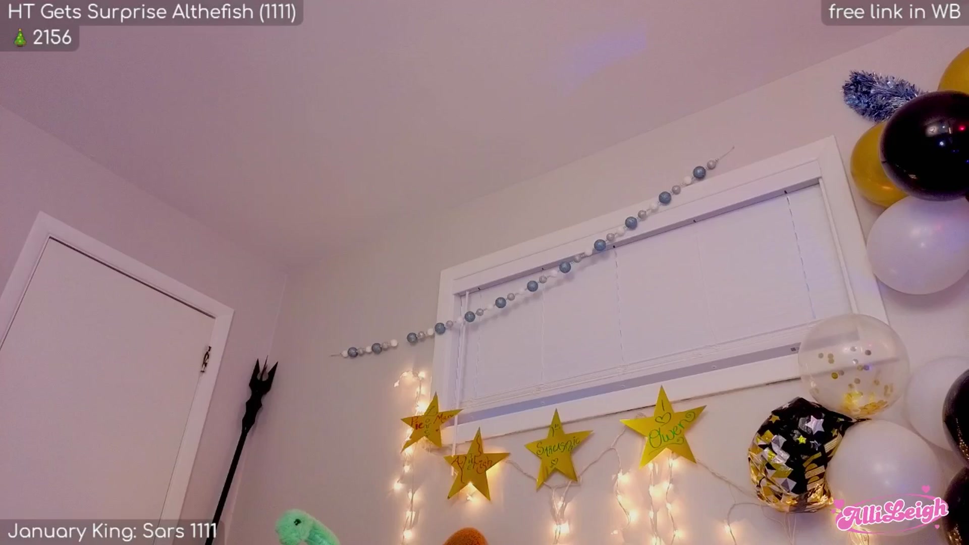 Gallery image thumbnail from alli_leigh's myfreecams stream on, 01/11/2026, 02:29 image 7 of 20