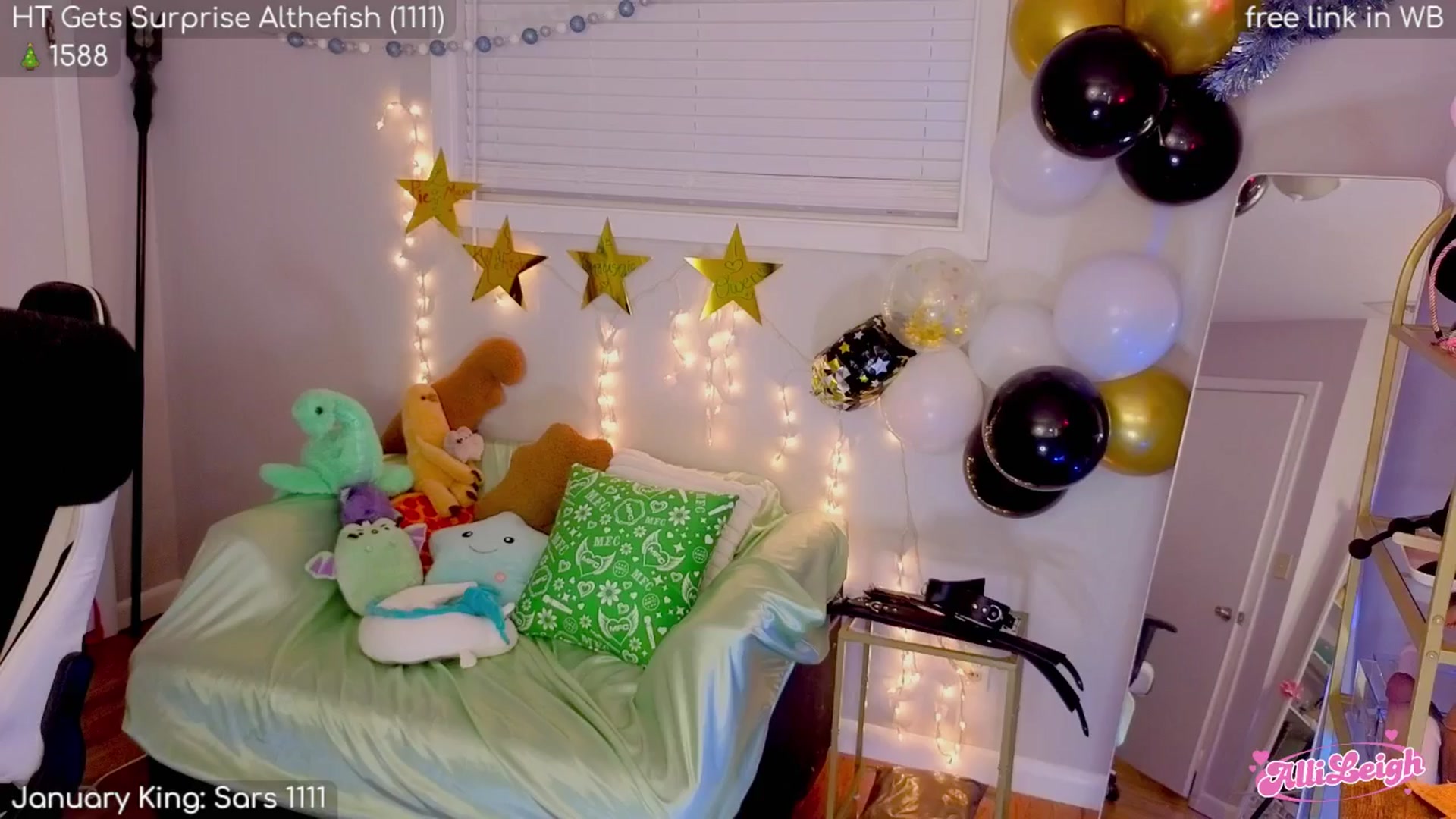 Gallery image thumbnail from alli_leigh's myfreecams stream on, 01/11/2026, 02:29 image 14 of 20