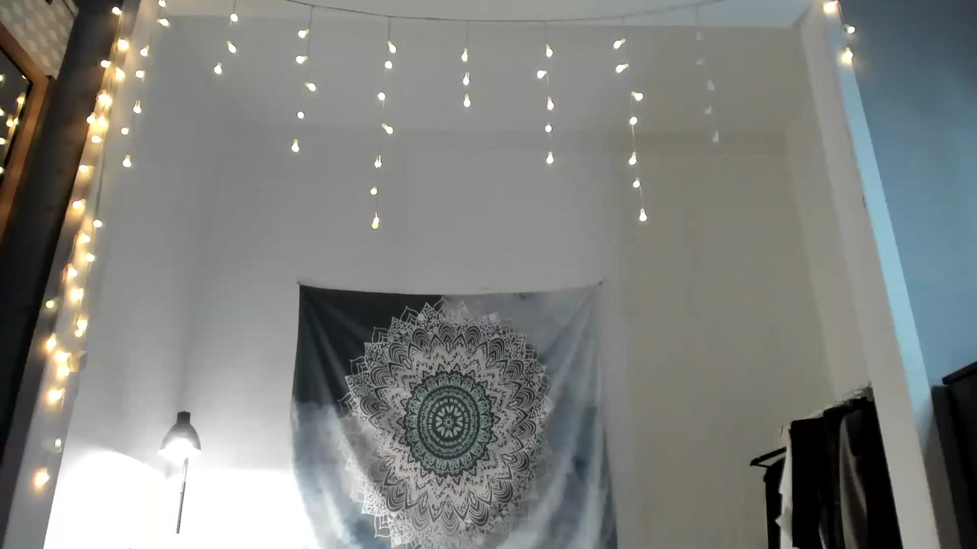 Gallery image thumbnail from amberbeloved's myfreecams stream on, 12/21/2024, 15:16 image 8 of 20